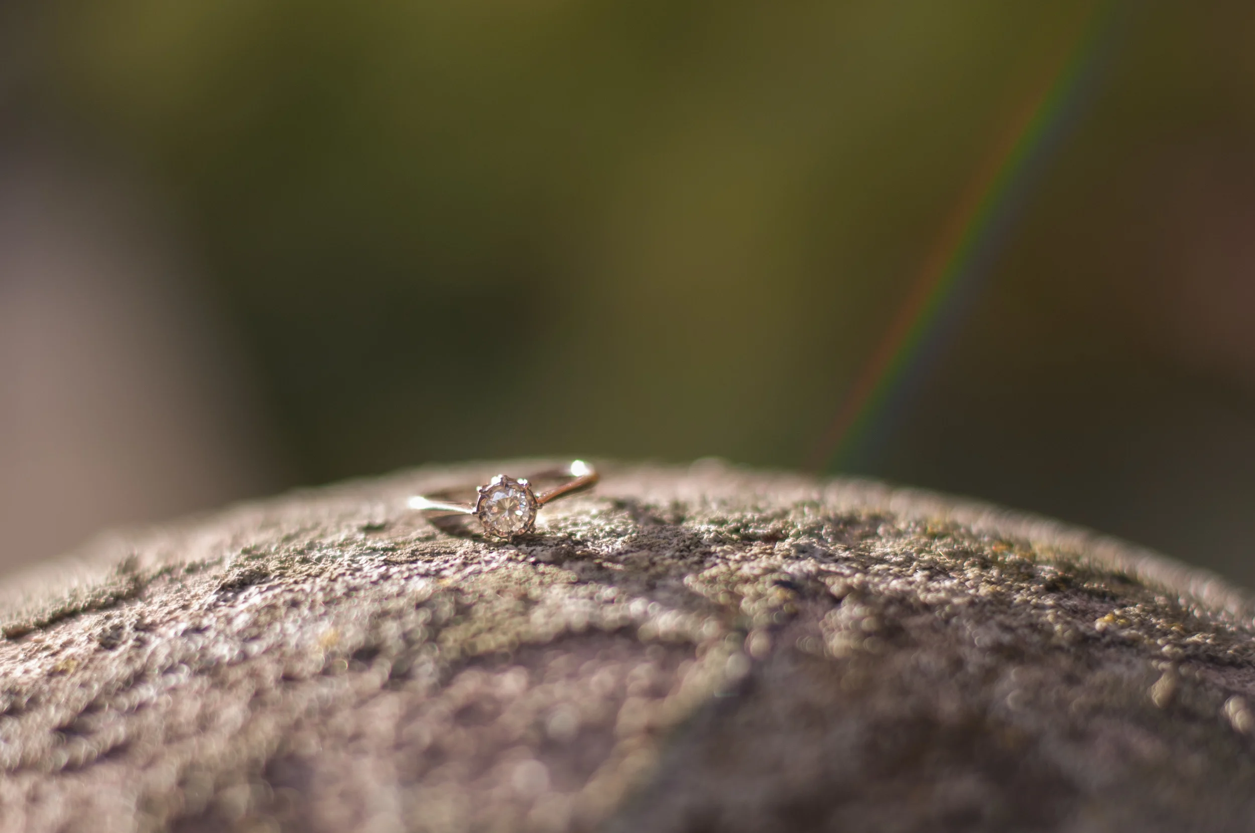 meredithdonnellyphotography-carrie&brettengagement-35.jpg