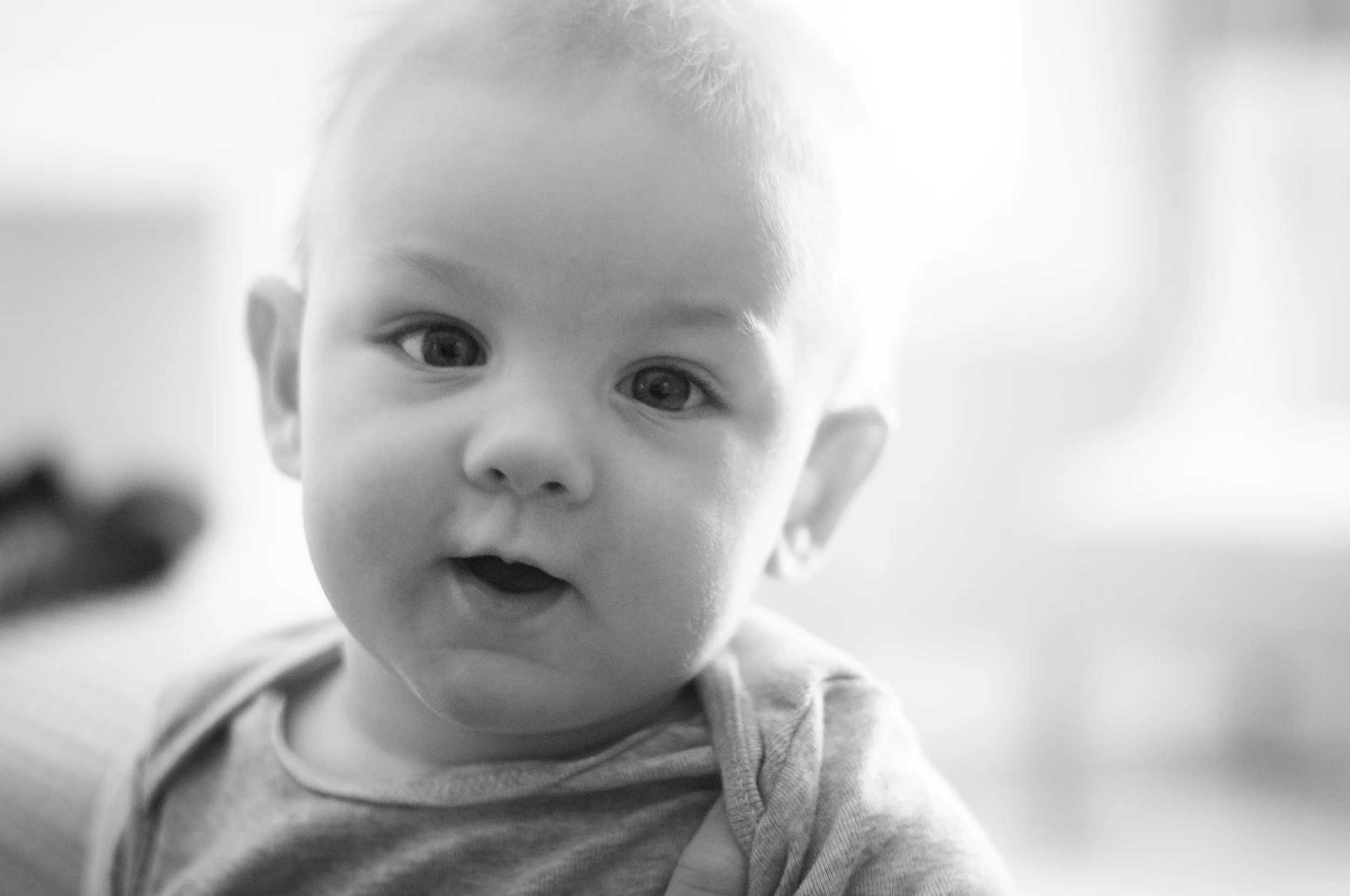 meredithdonnellyphotography-Oliver-1.jpg