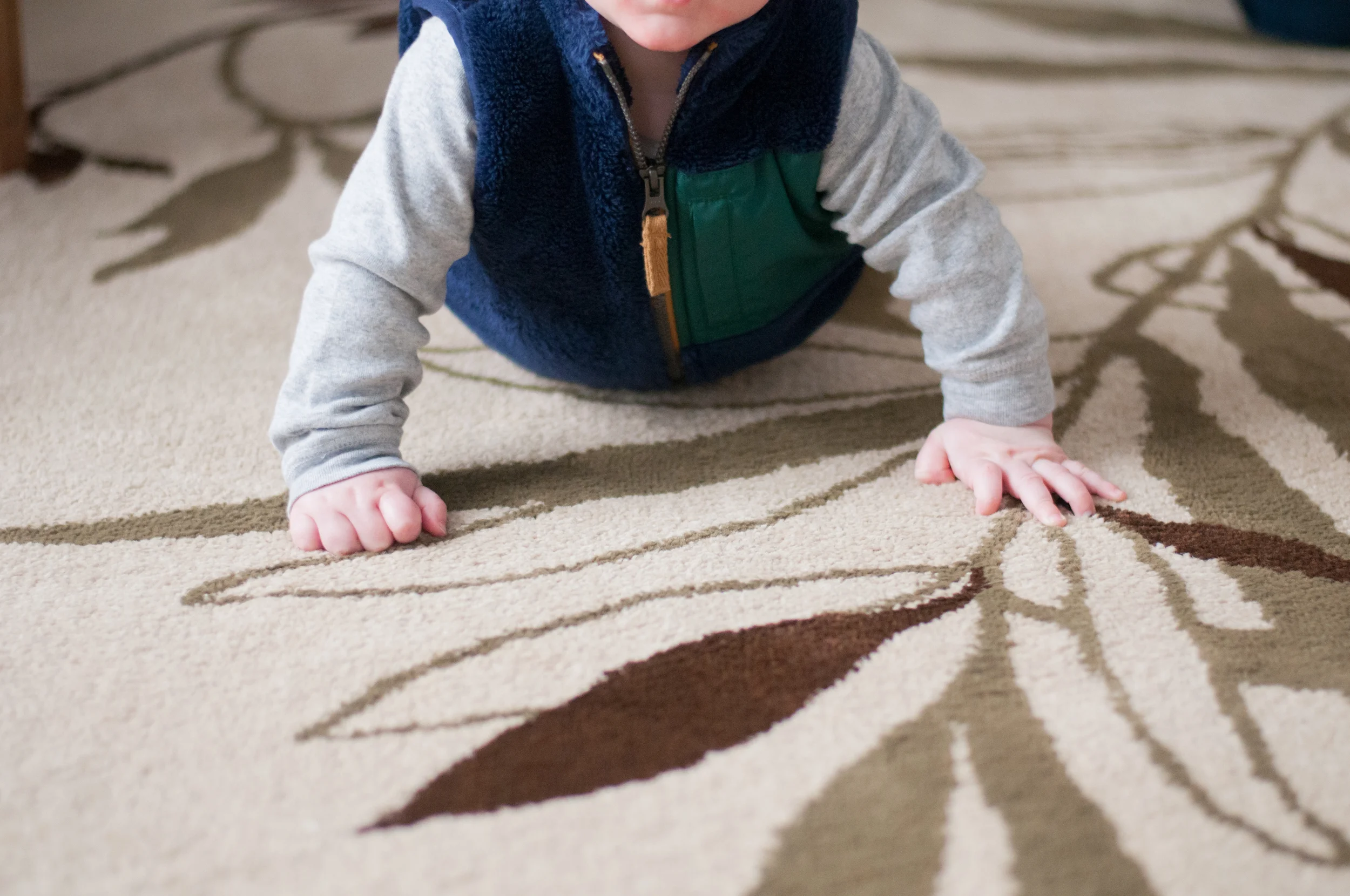 meredithdonnellyphotography-Oliver-10.jpg