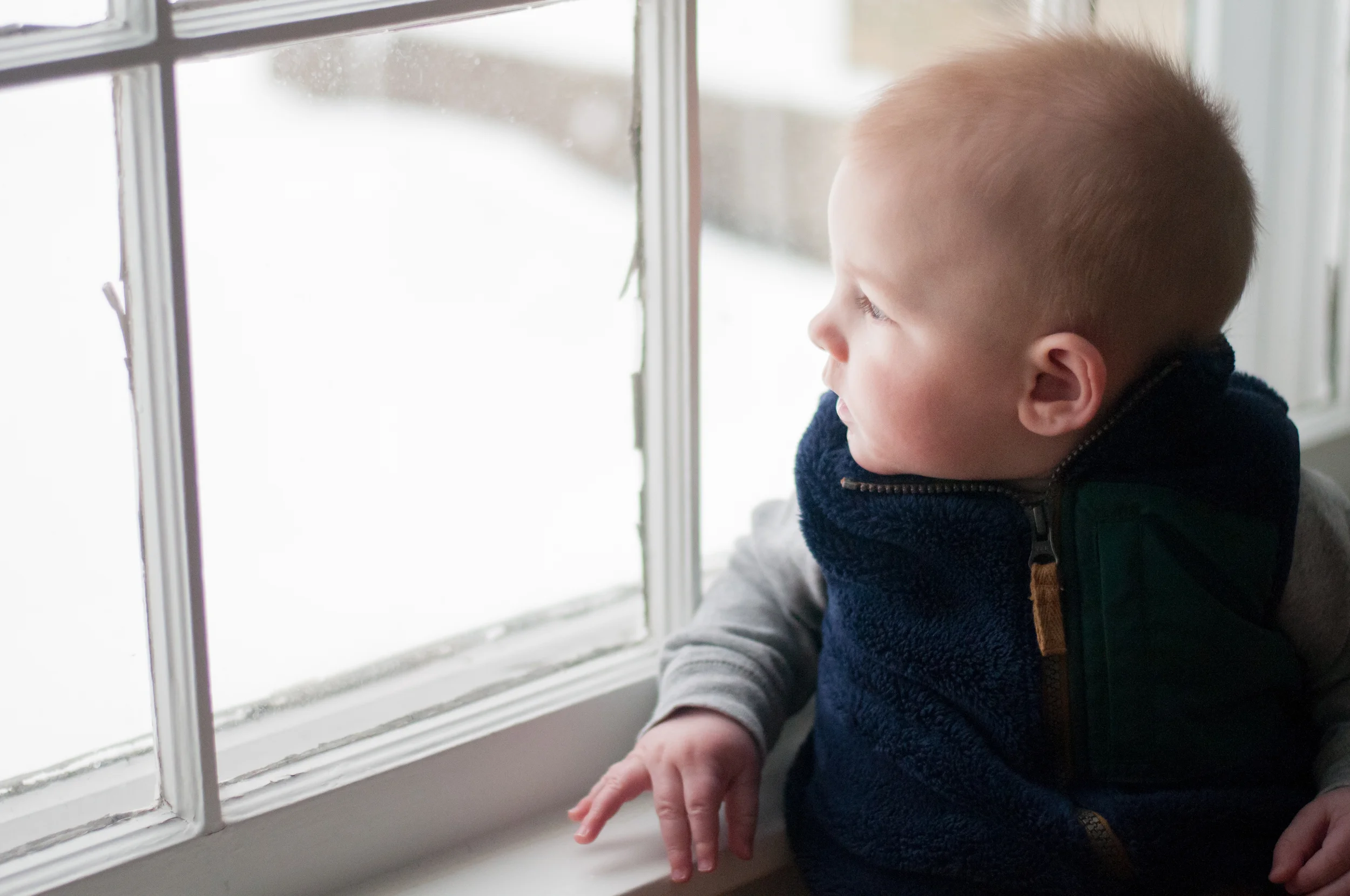 meredithdonnellyphotography-Oliver-14.jpg