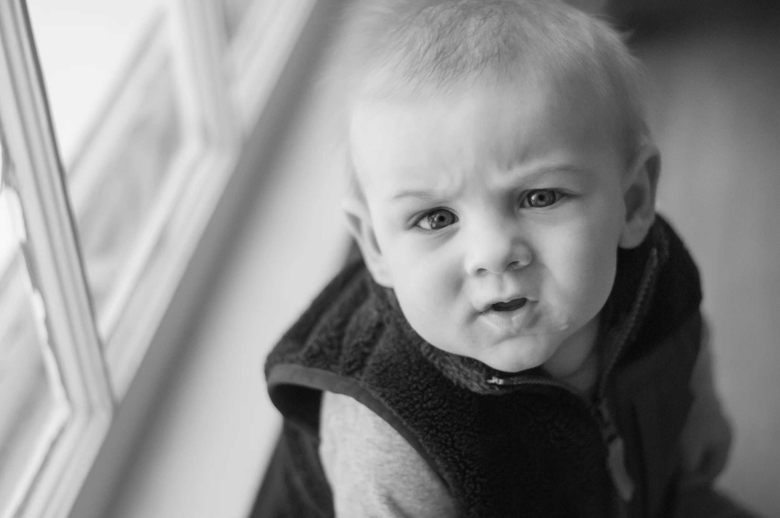 meredithdonnellyphotography-Oliver-17.jpg