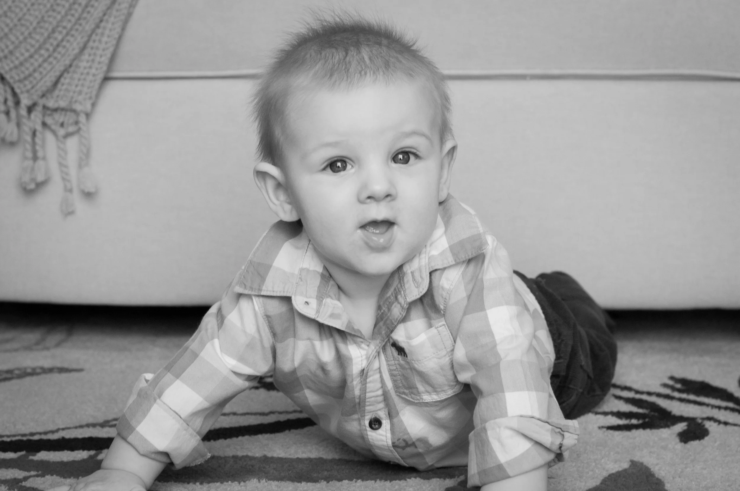 meredithdonnellyphotography-Oliver-20.jpg