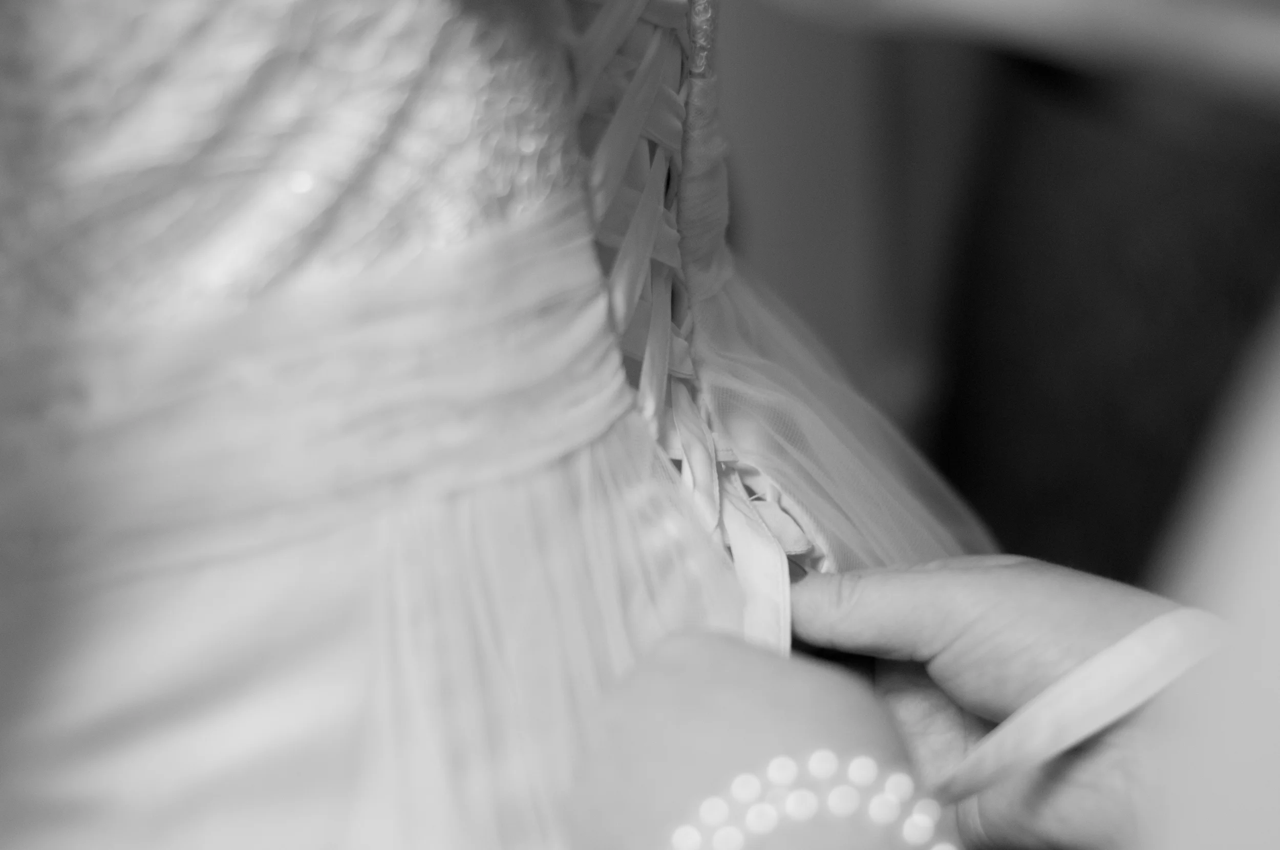 meredithdonnellyphotography-25.jpg