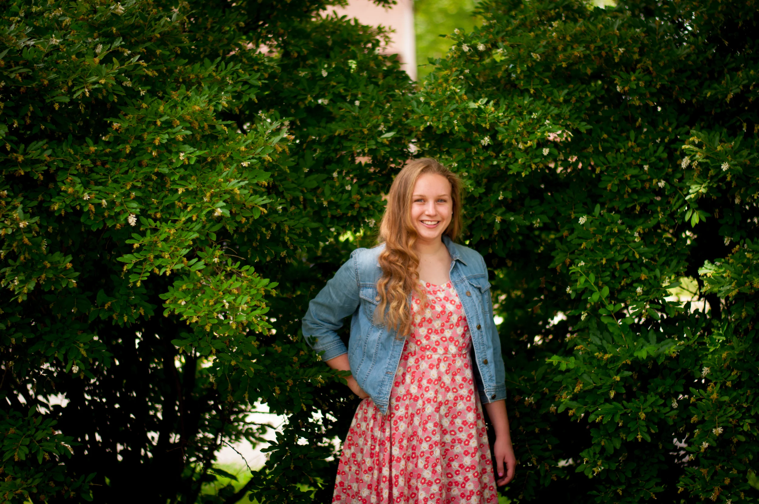 meredithdonnellyphotography-32.jpg