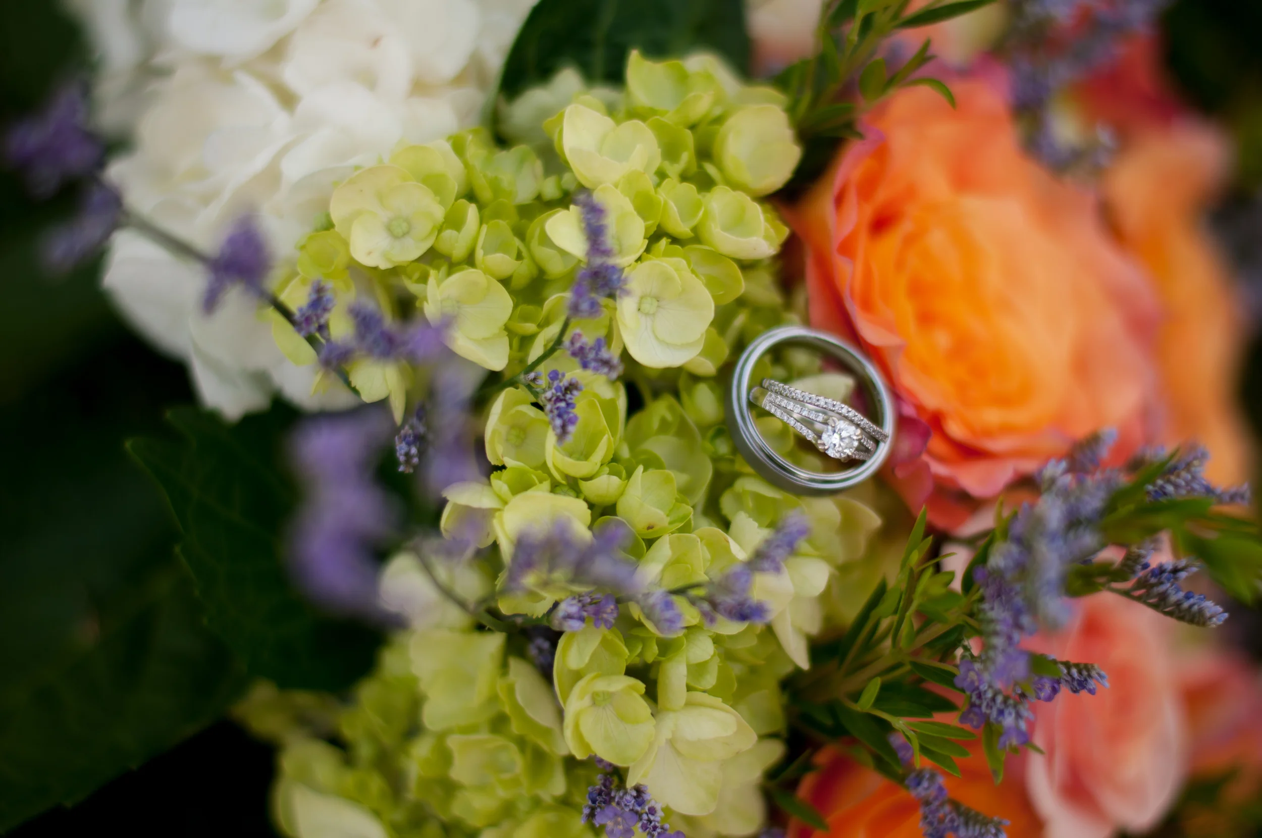 meredithdonnellyphotography-3.jpg