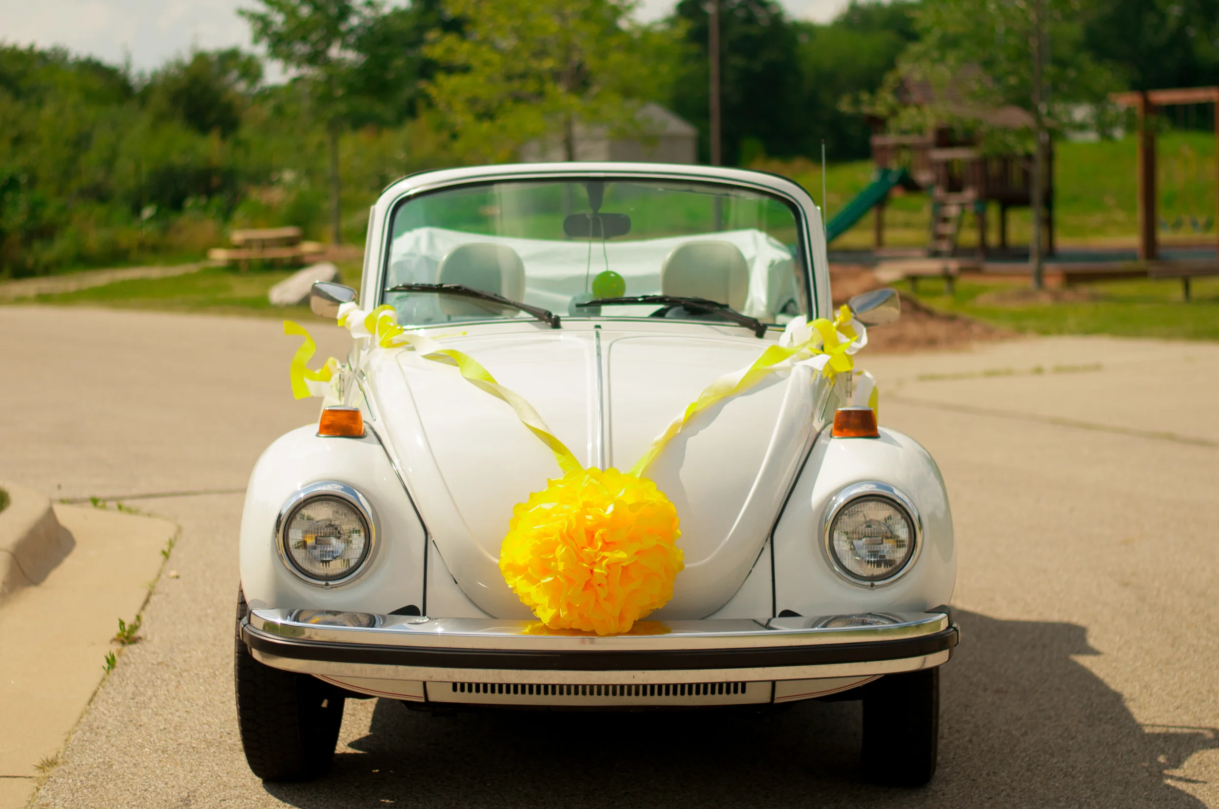 meredithdonnellyphotography-66.jpg