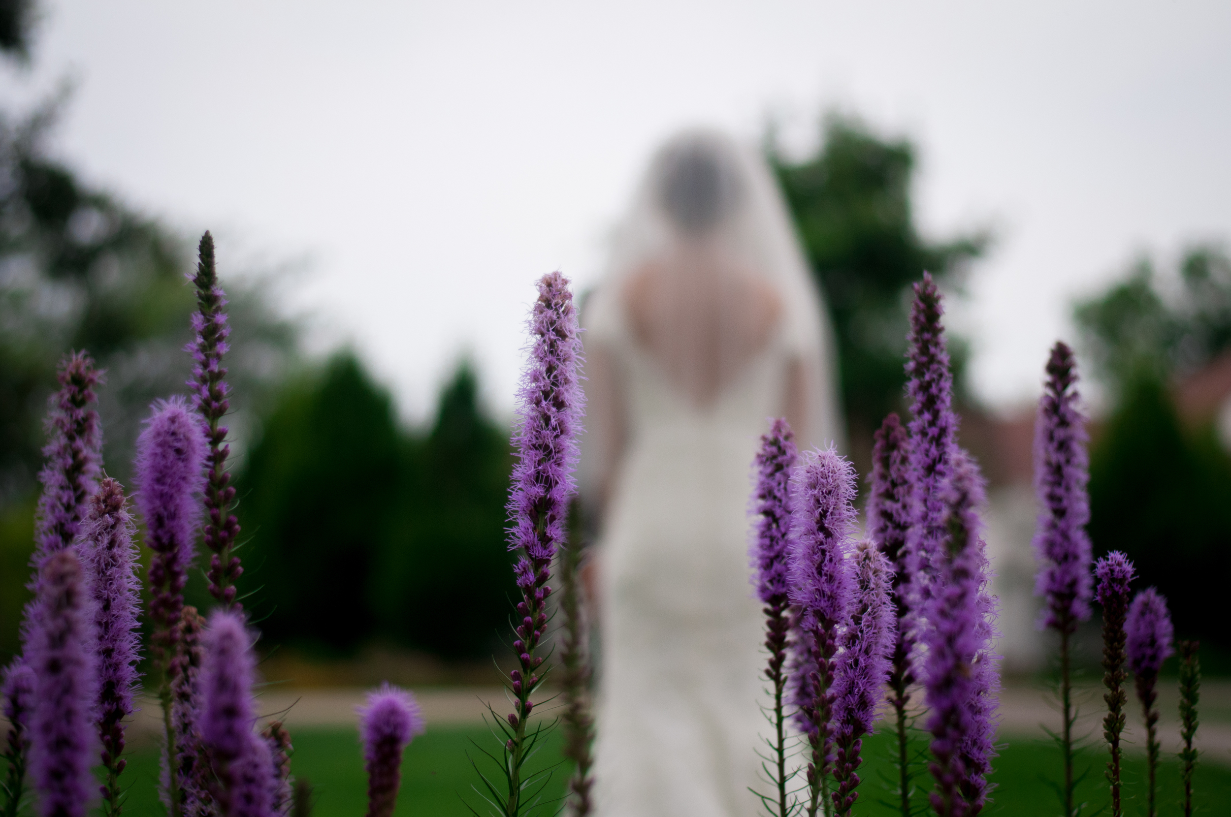 meredithdonnellyphotography-33.jpg