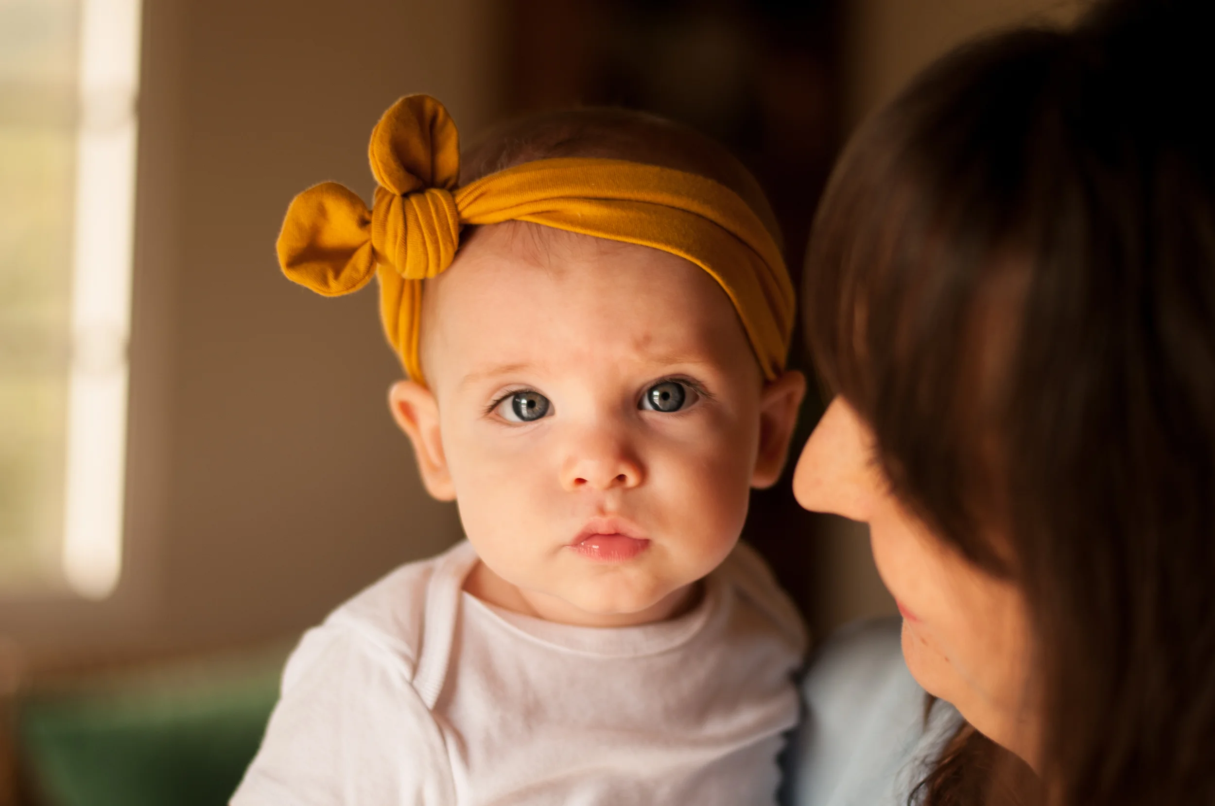 meredithdonnellyphotography-4.jpg