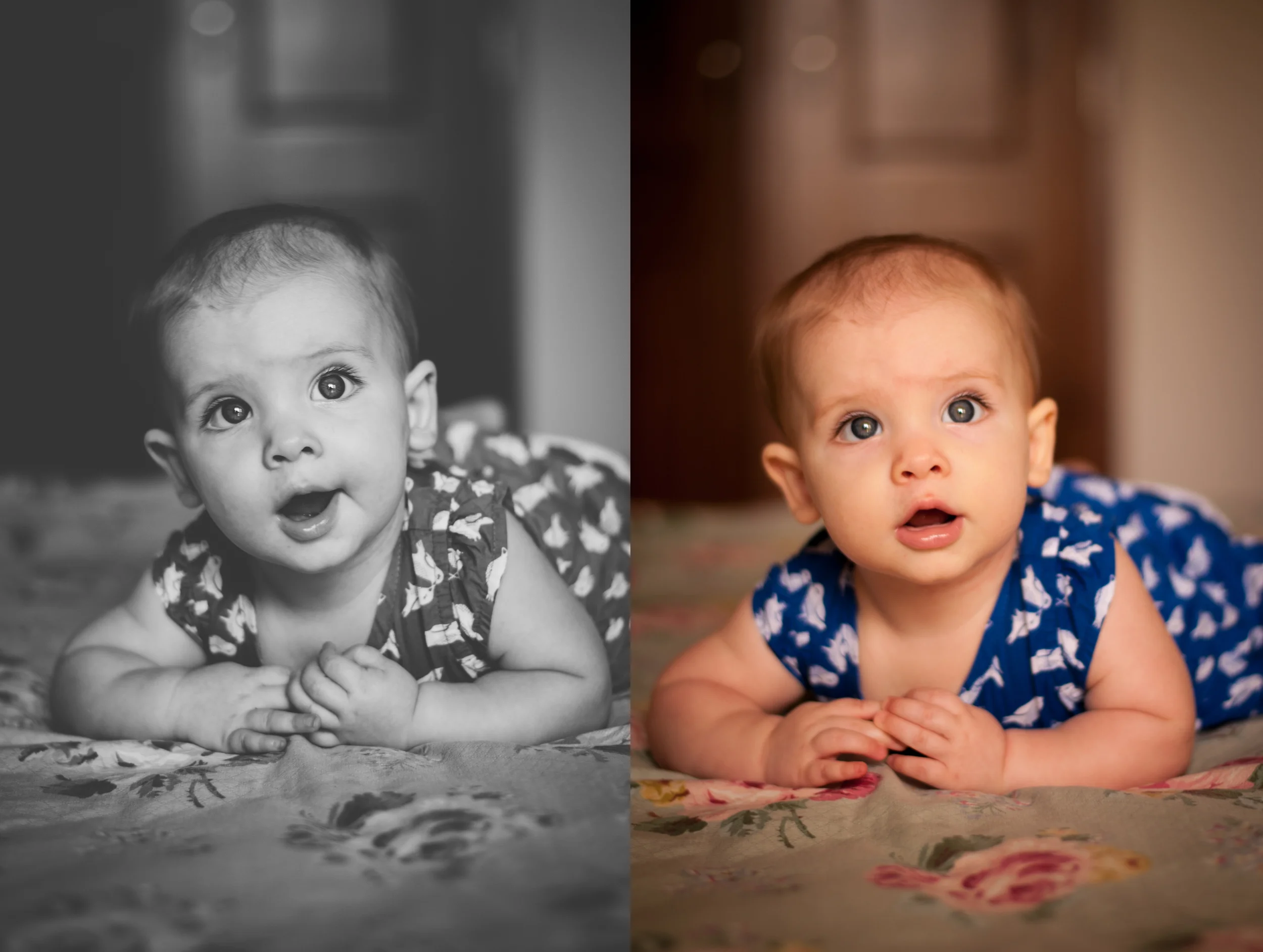 meredithdonnellyphotography-29.2.jpg