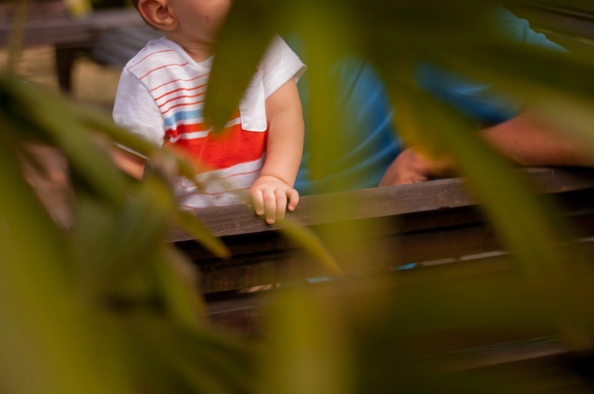 meredithdonnellyphotography-86.jpg