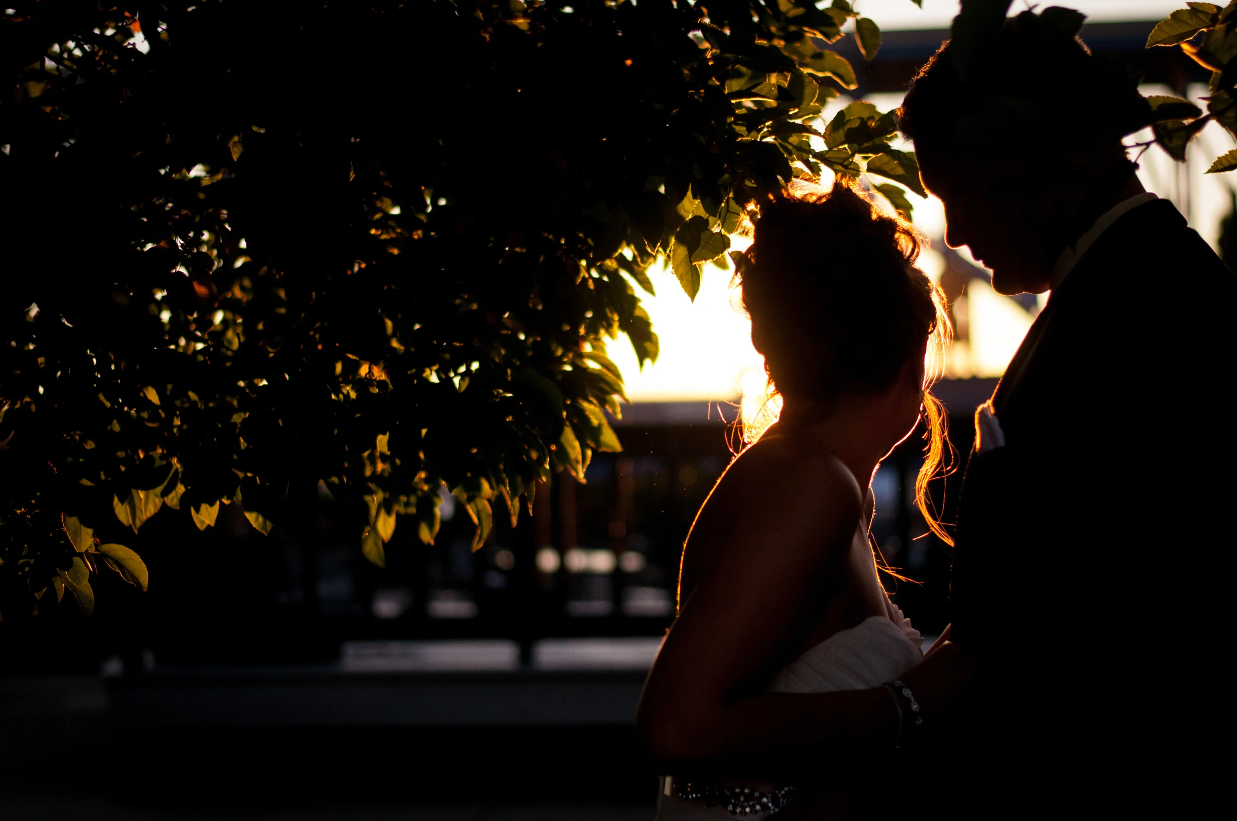 meredithdonnellyphotography-63.jpg