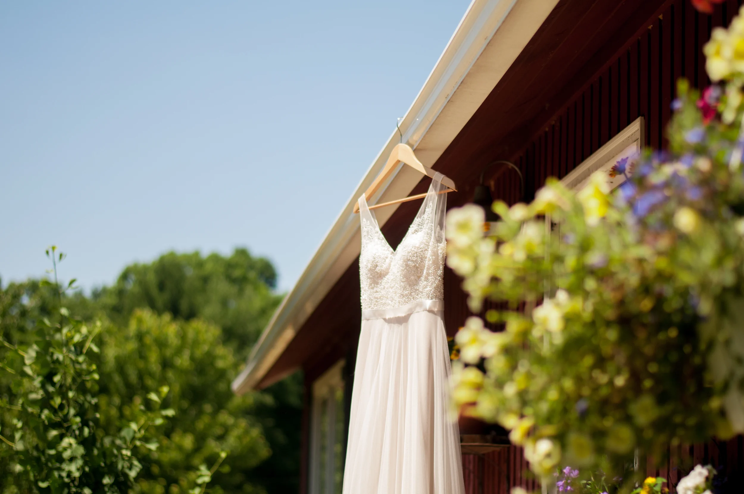meredithdonnellyphotography-2.jpg