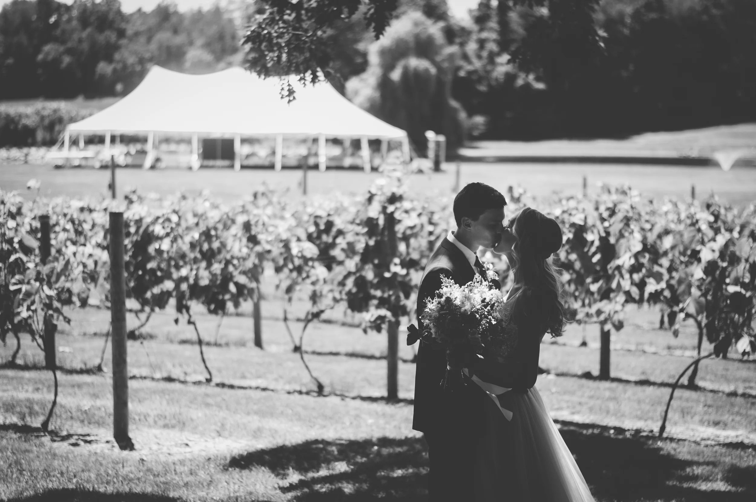 meredithdonnellyphotography-24.jpg