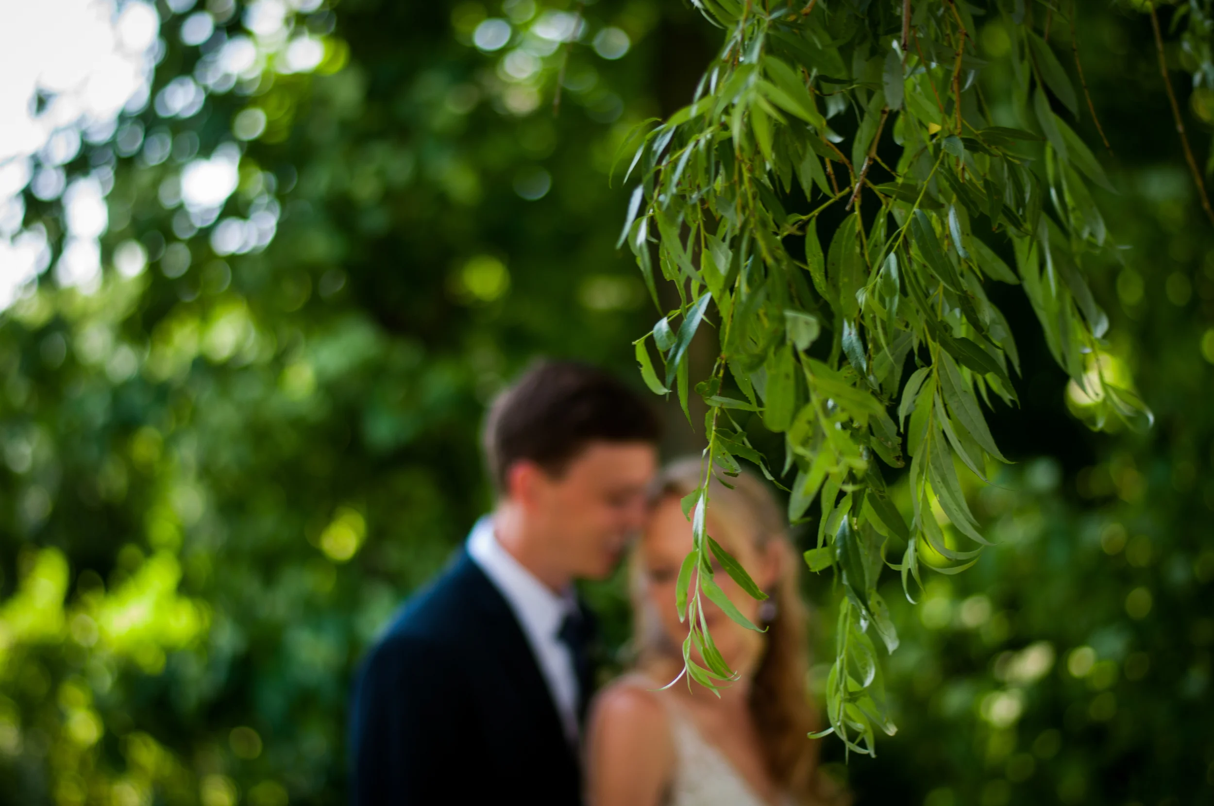 meredithdonnellyphotography-42.jpg