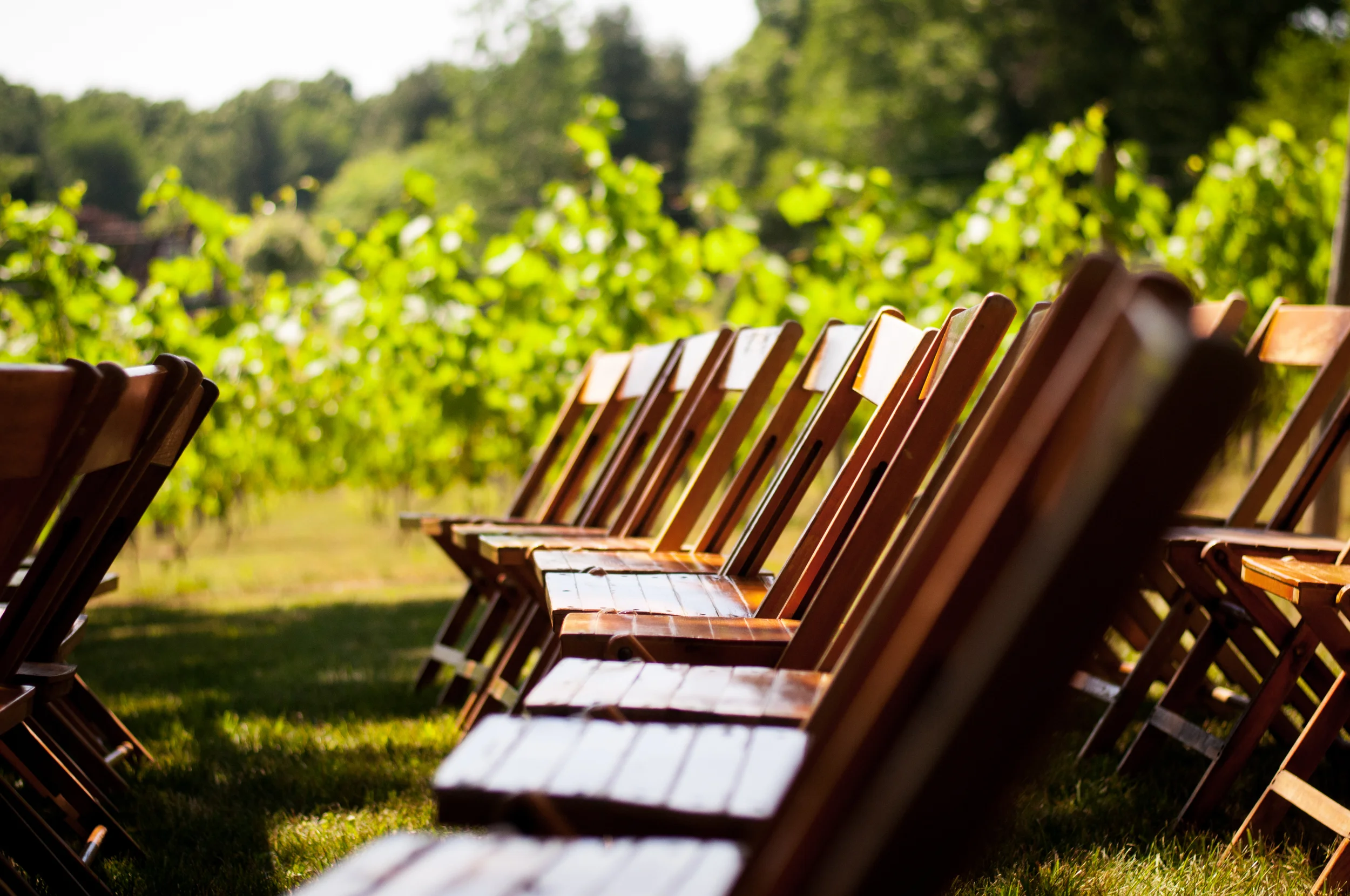 meredithdonnellyphotography-56.jpg