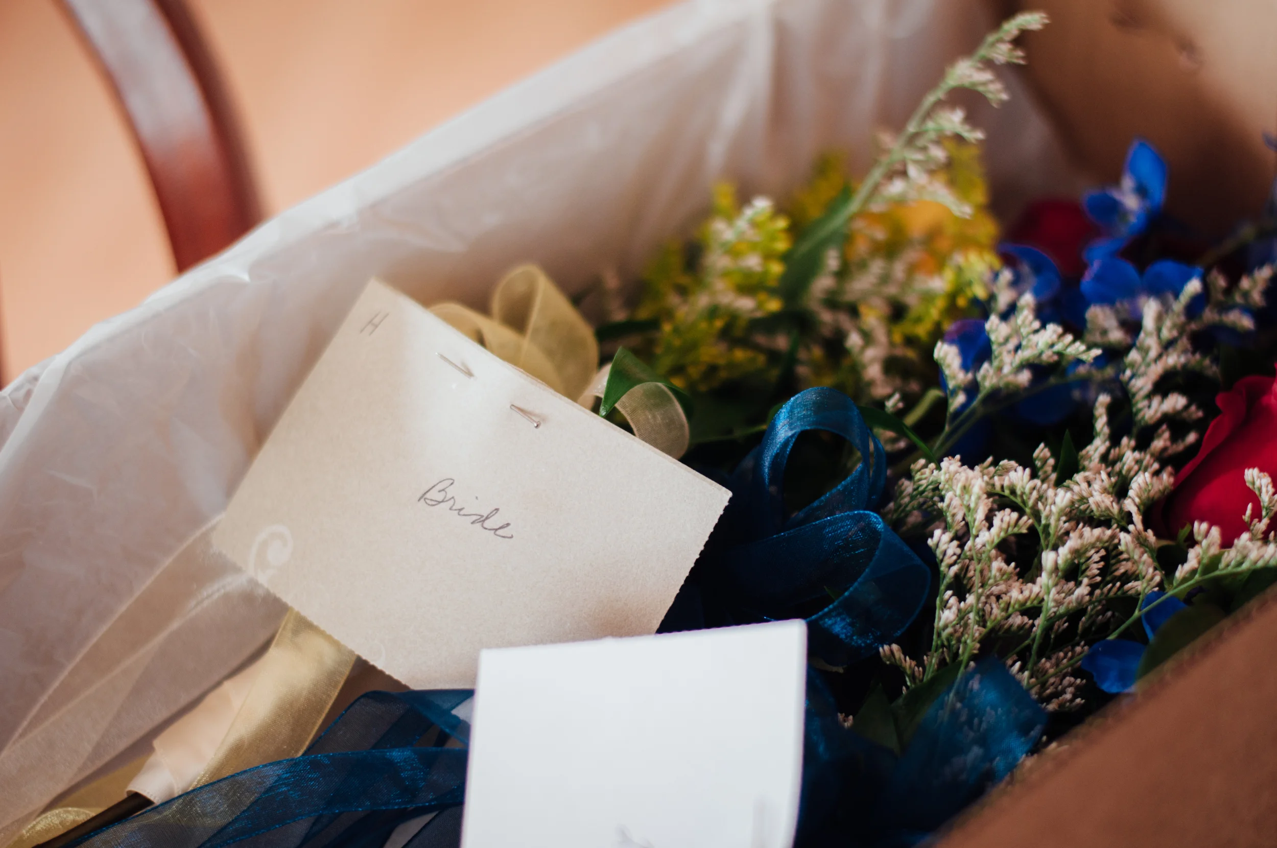 meredithdonnellyphotography-4.jpg