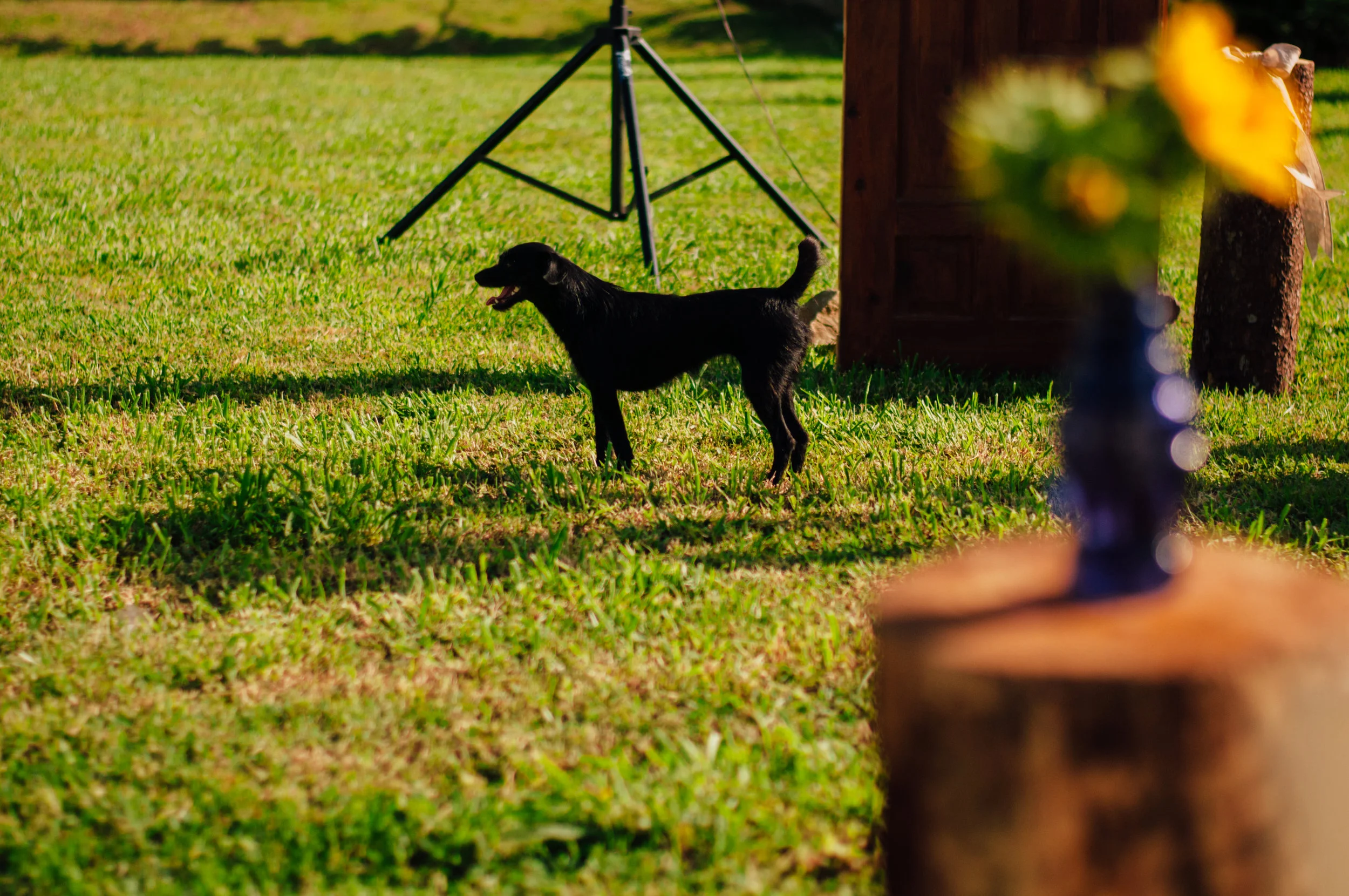 meredithdonnellyphotography-50.jpg