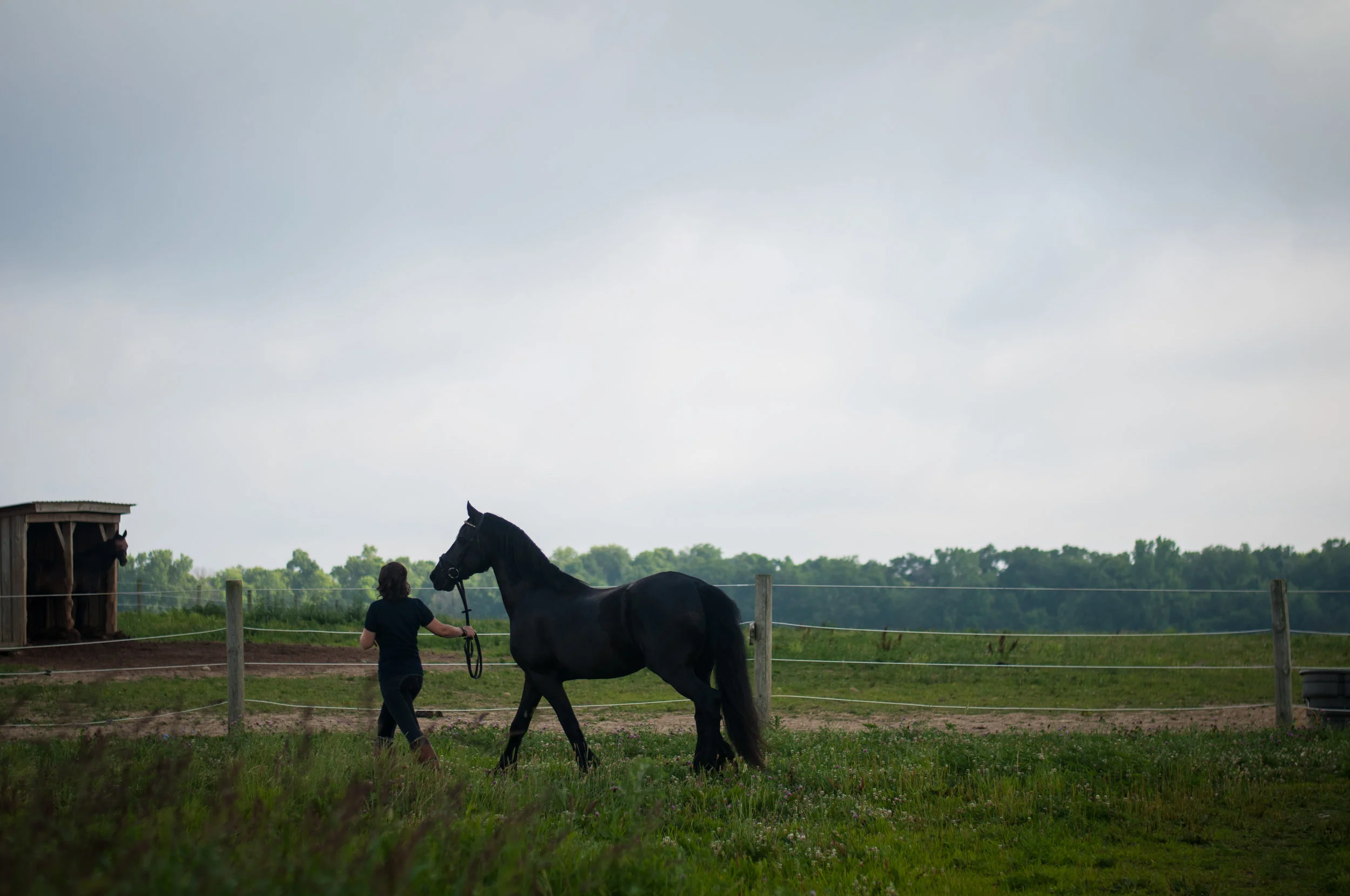 meredithdonnellyphotography-55.jpg