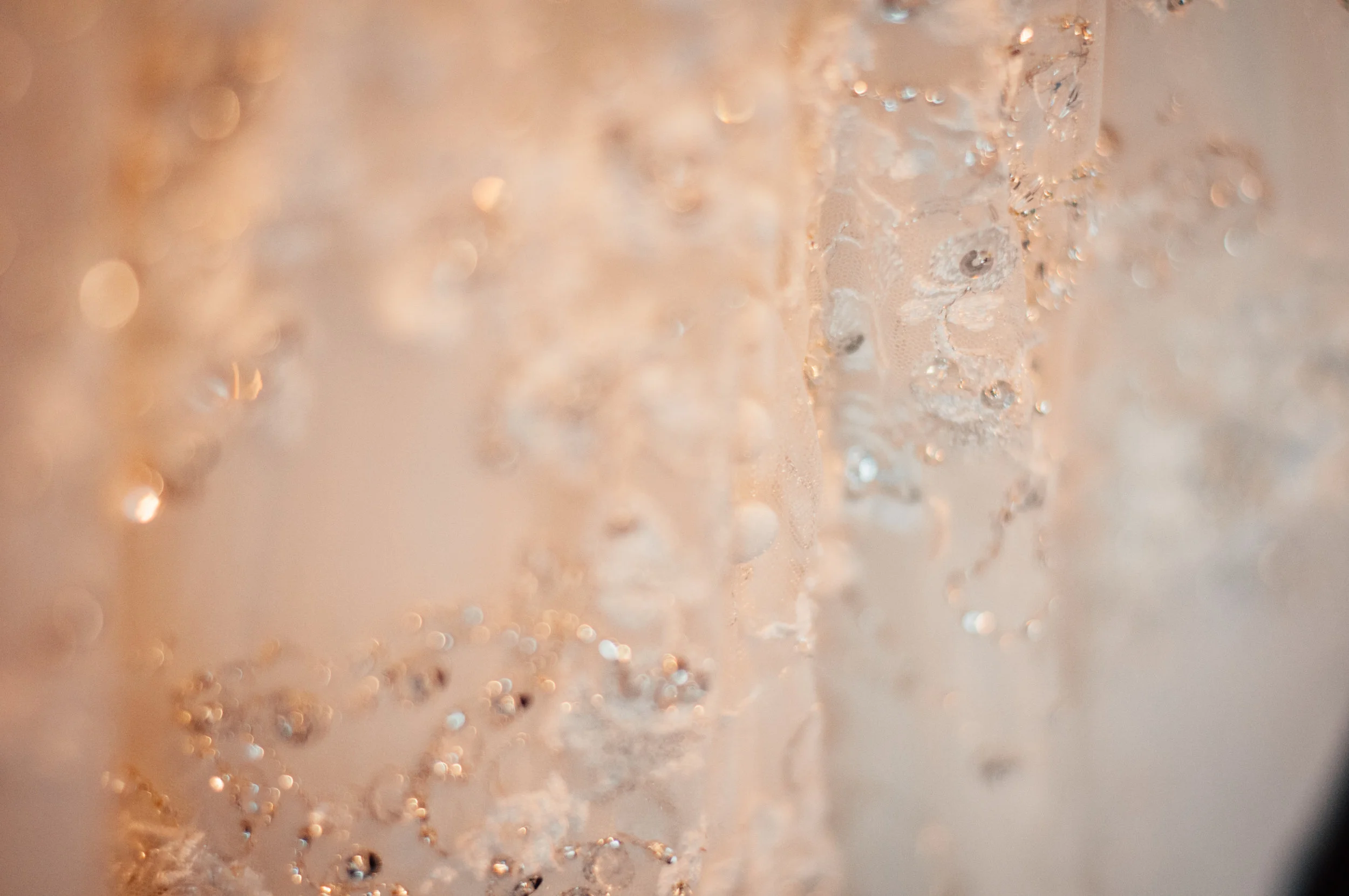 meredithdonnellyphotography-2.jpg