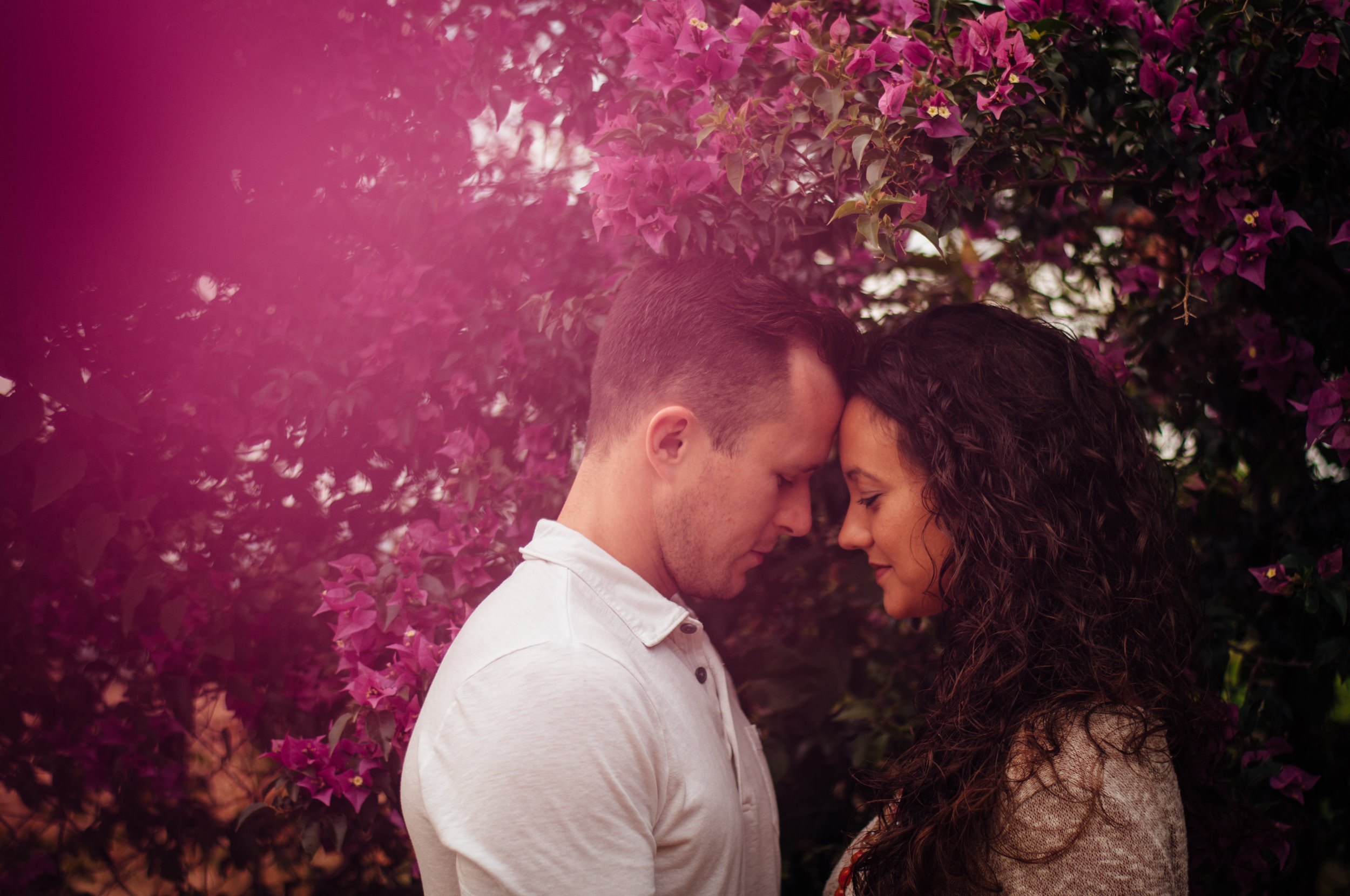 meredithdonnellyphotography-23.jpg
