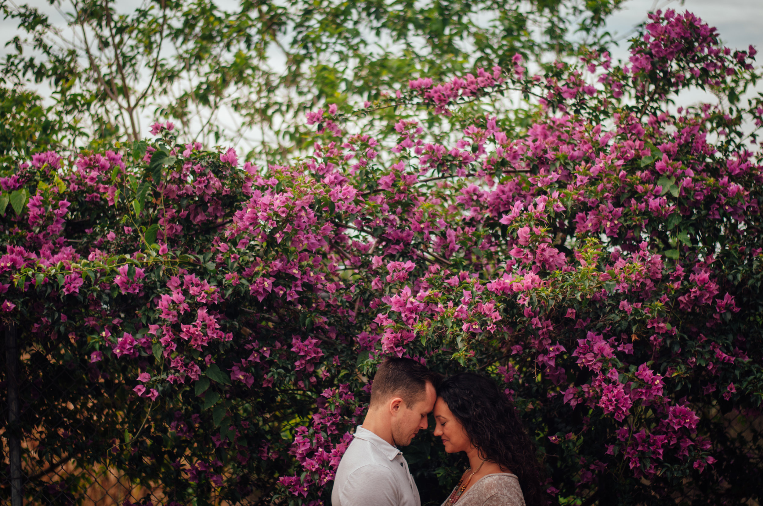 meredithdonnellyphotography-26.jpg