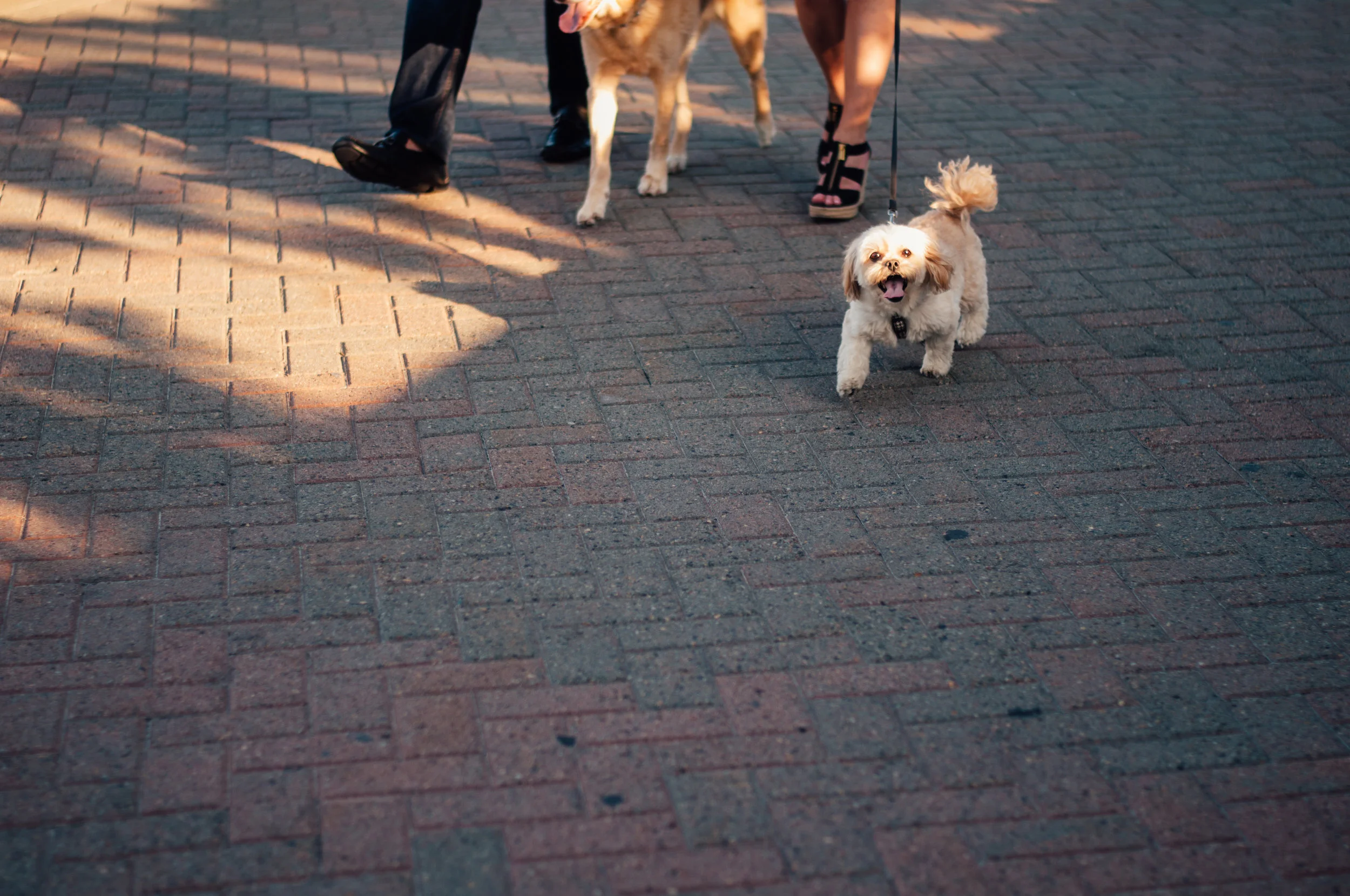 meredithdonnellyphotography-27.jpg