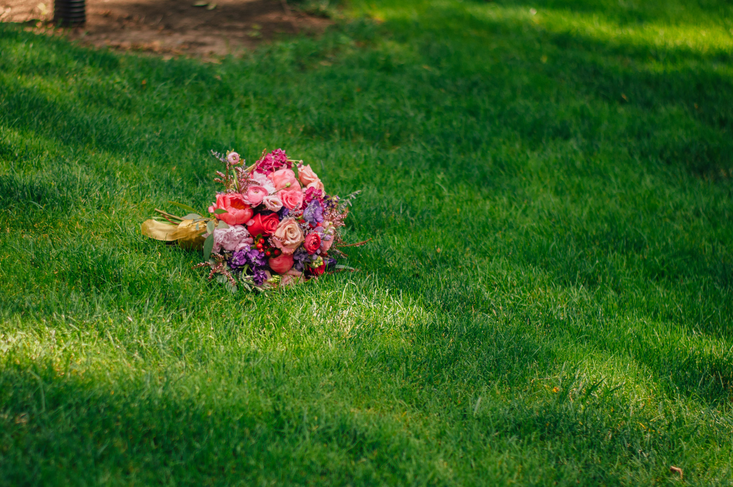 meredithdonnellyphotography-77.jpg
