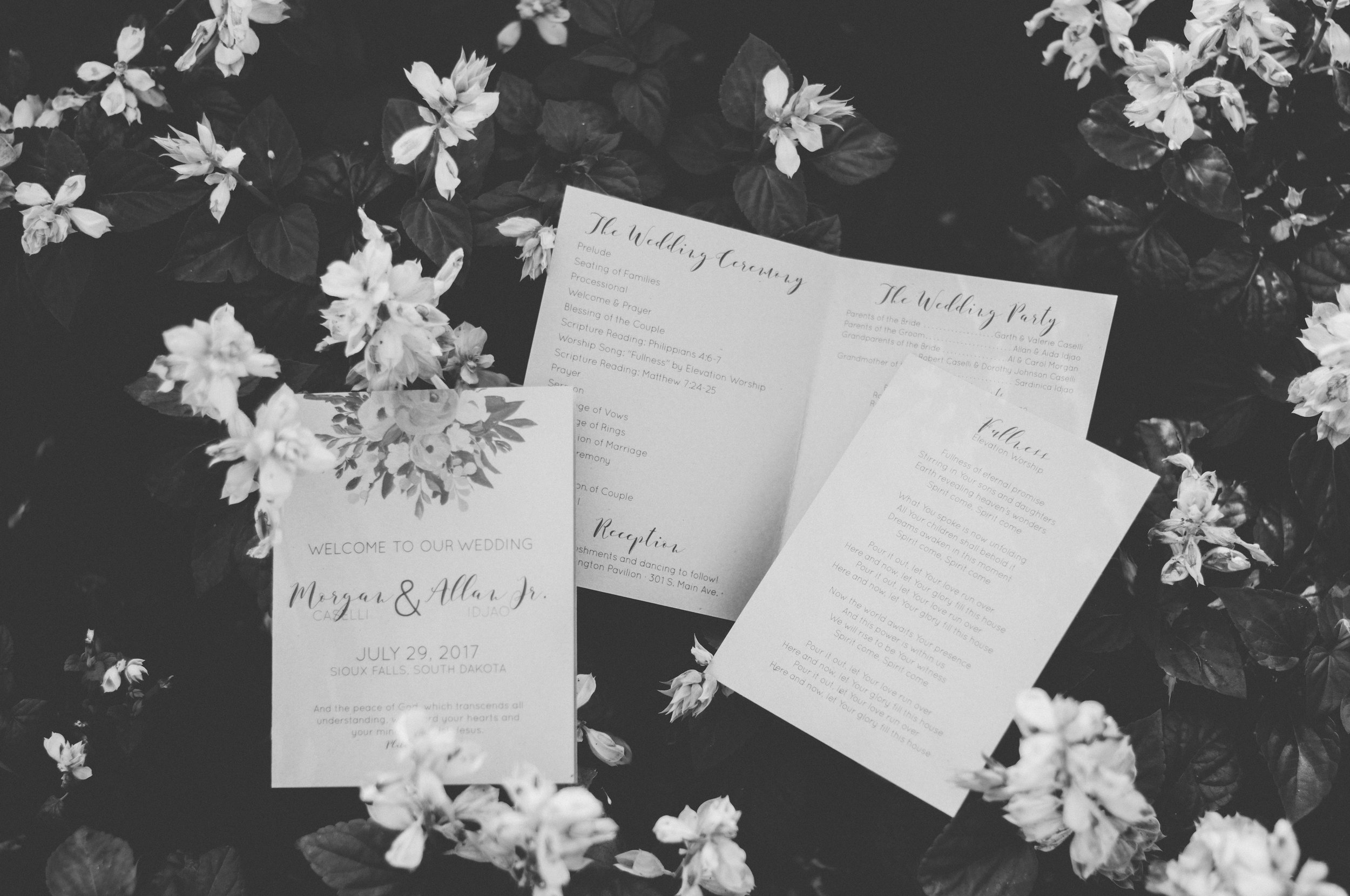 meredithdonnellyphotography-100.jpg