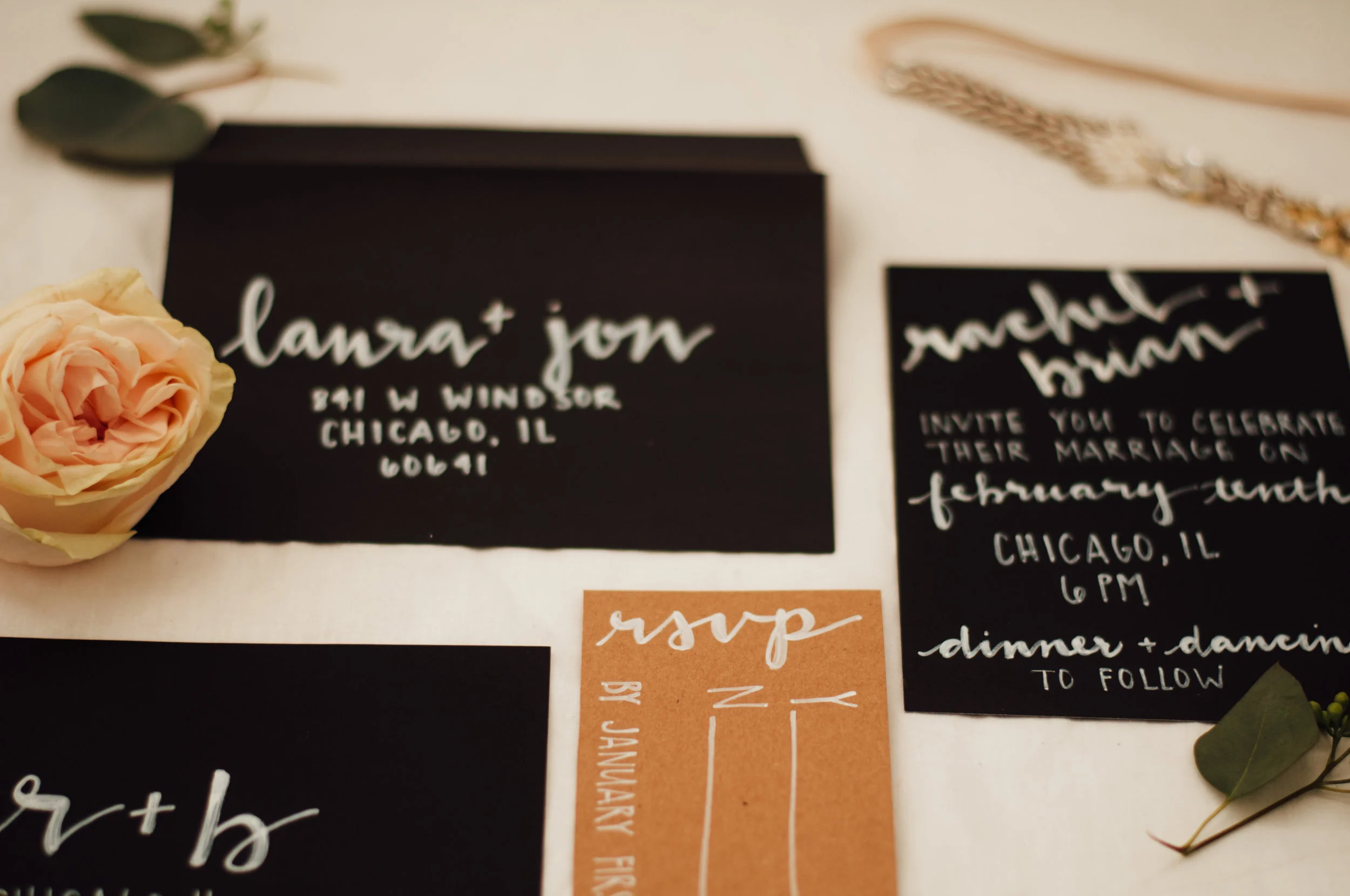 meredithdonnellyphotography-207.jpg