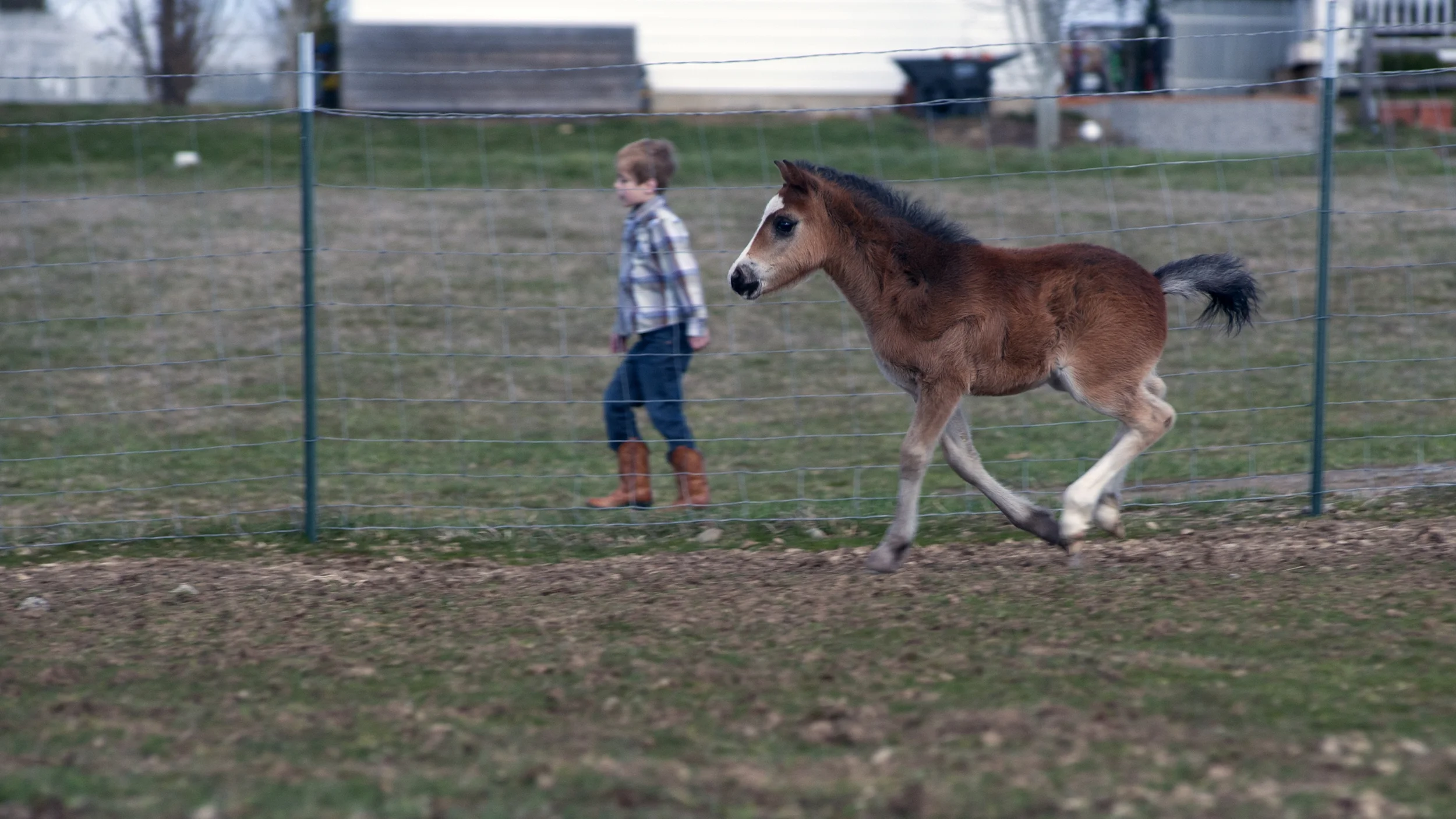 DSC_8491 B.jpg