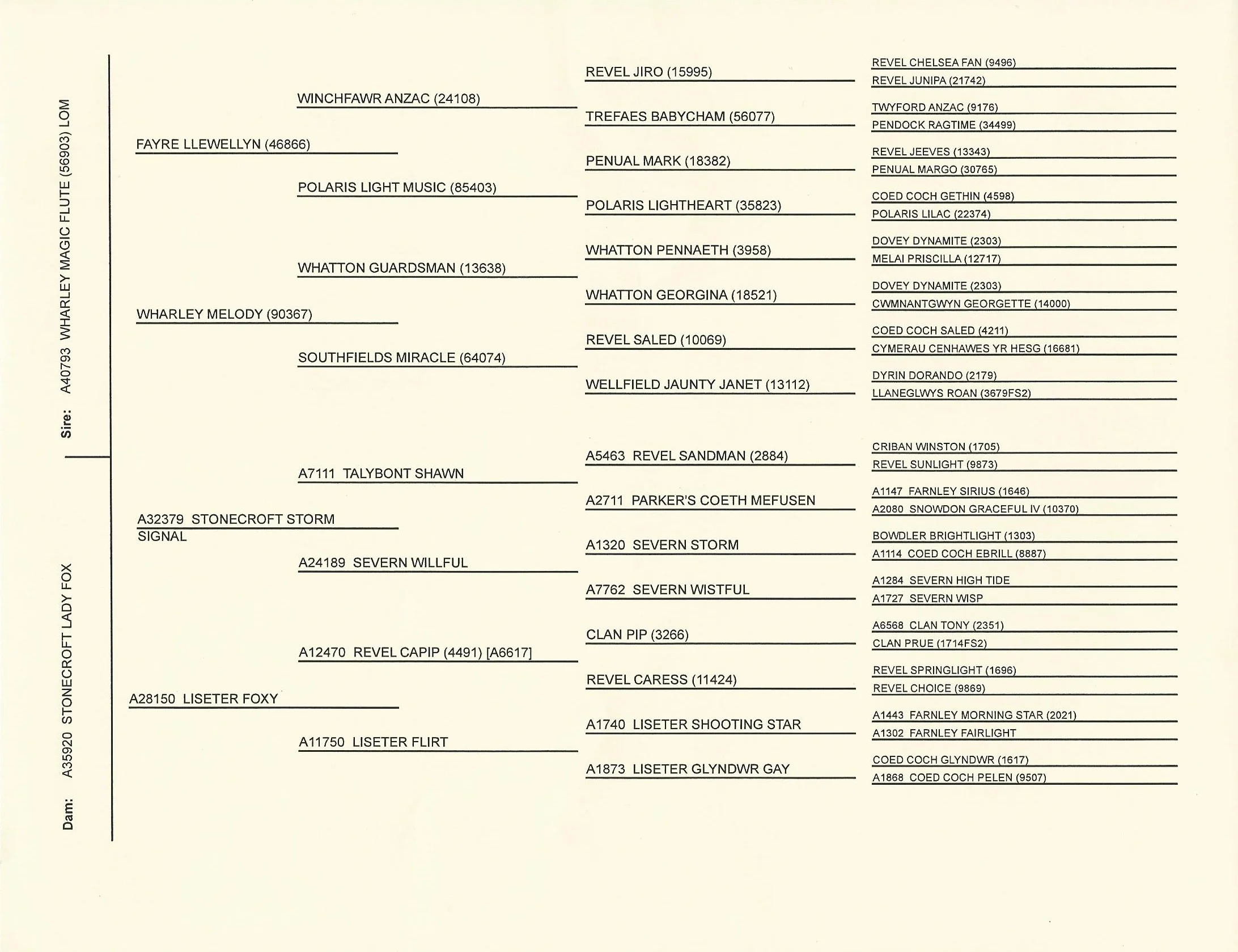 Scan0001.jpg