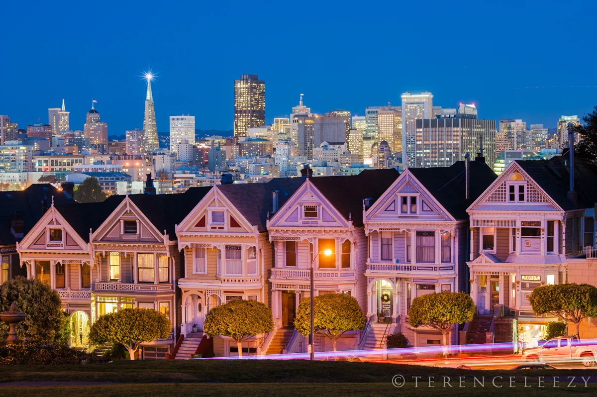Painted_Ladies_TER2129.jpg