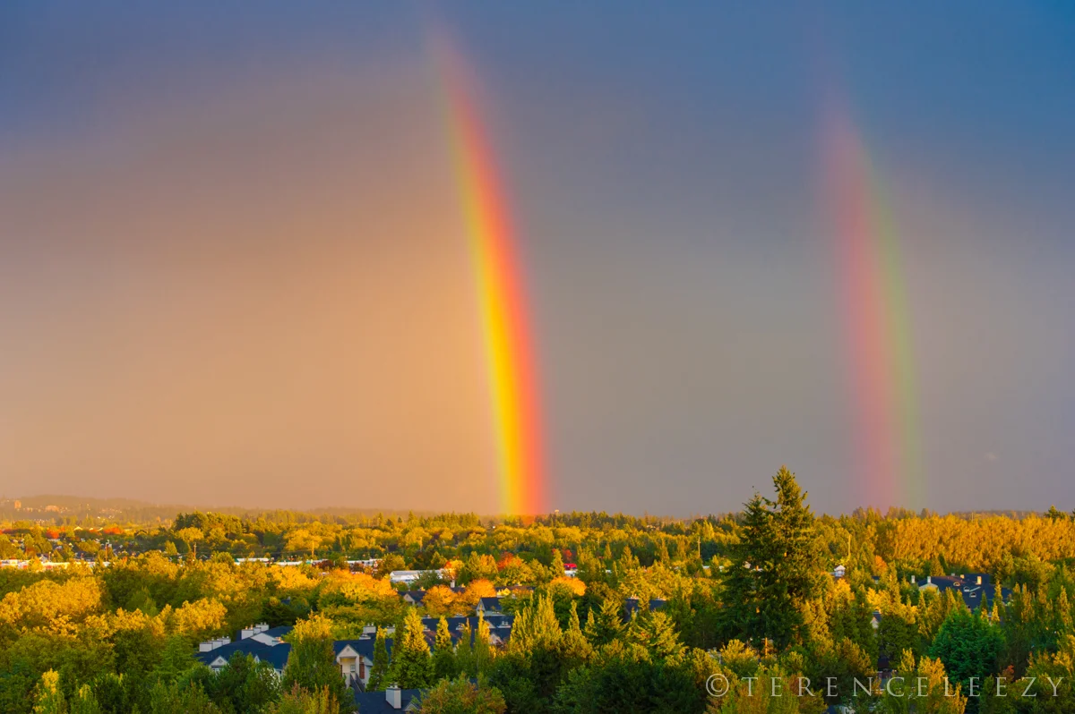 Rainbow_Hillsboro_TER0458.jpg