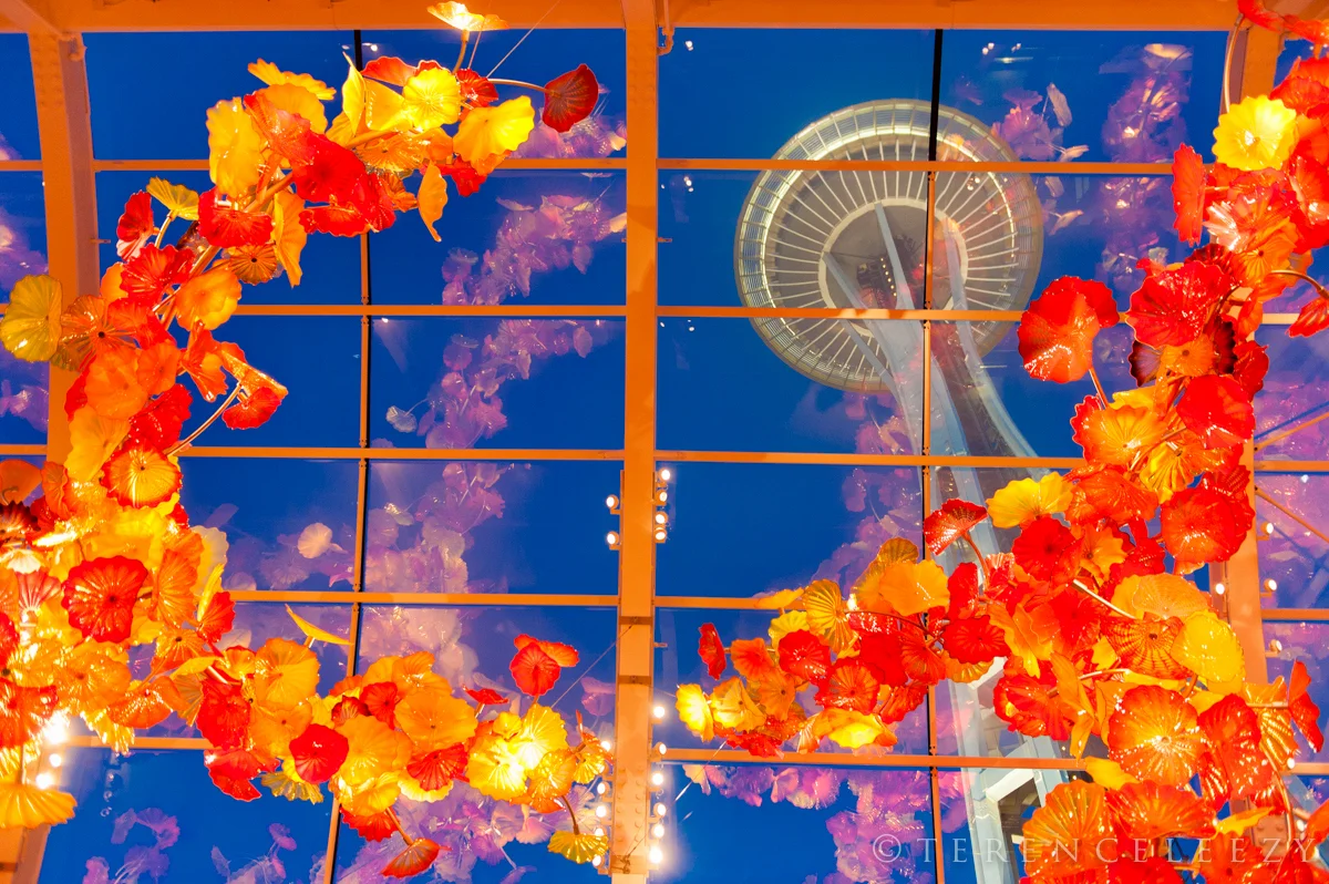 Seattle_TTT2670.jpg