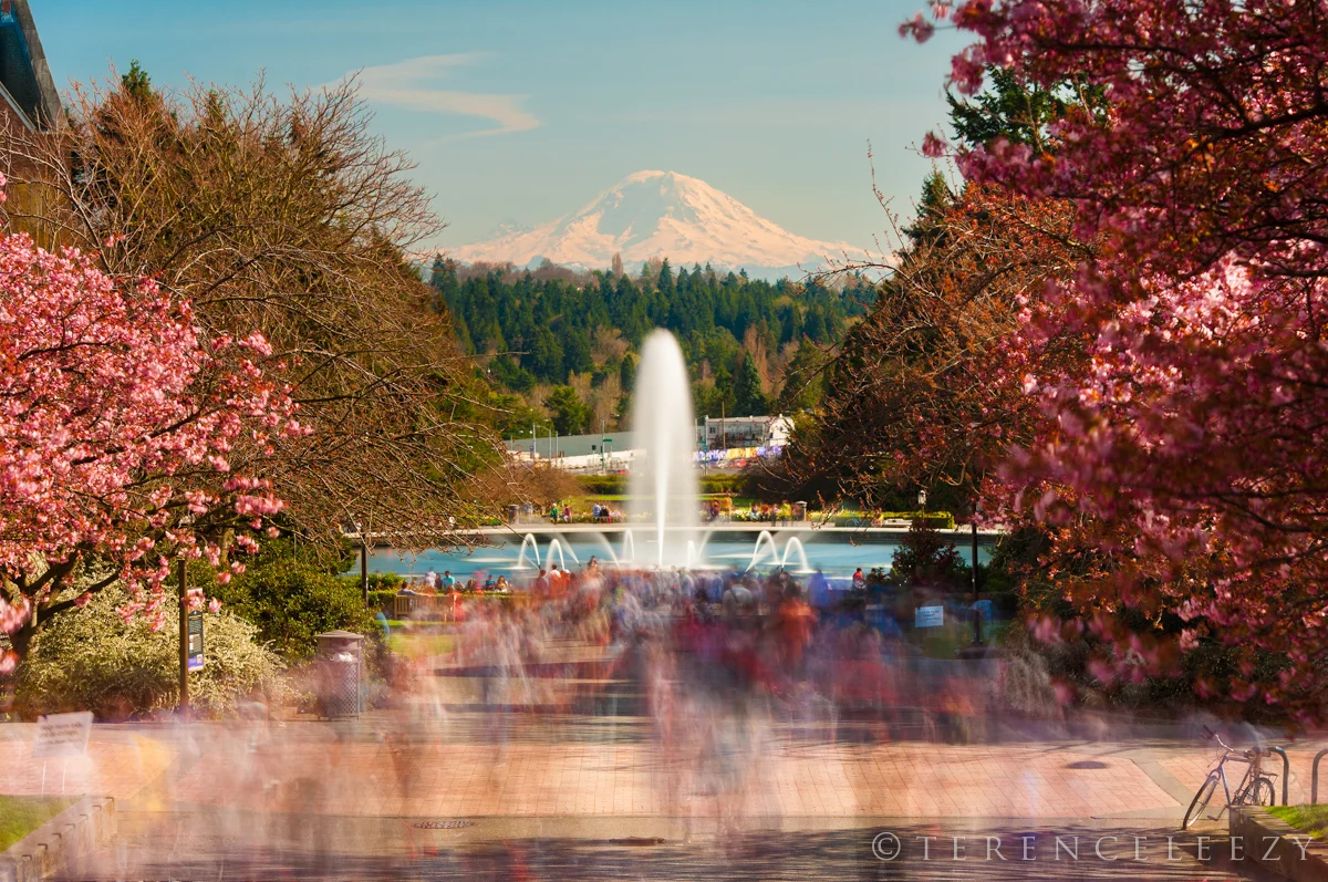 University_of_Washington_TTT4002.jpg