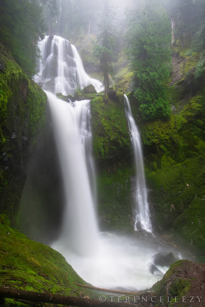 Fall_Creek_Falls_TER5137.jpg