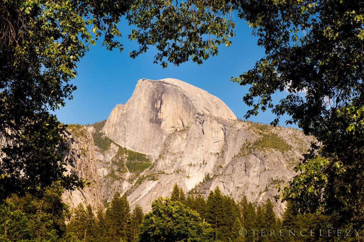 Yosemite_Half_Dome_TER9166.jpg