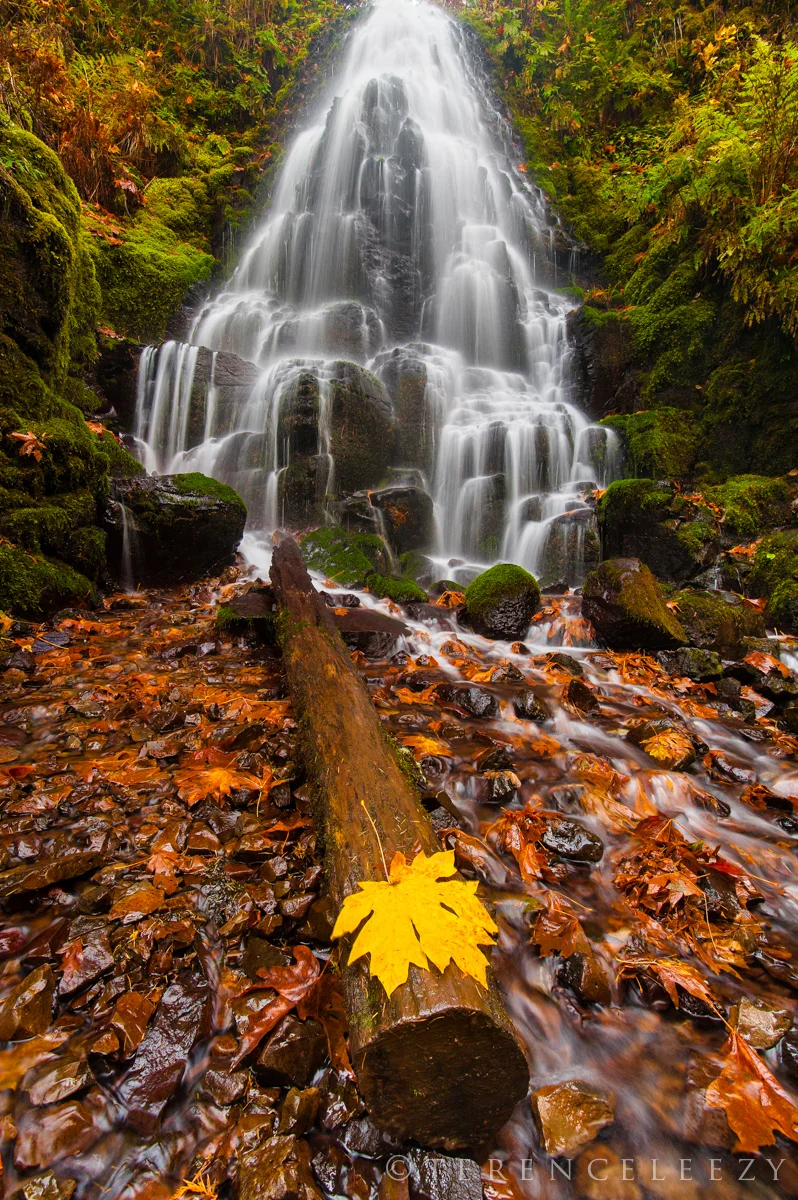 Fairy_Falls_TTT0456.jpg