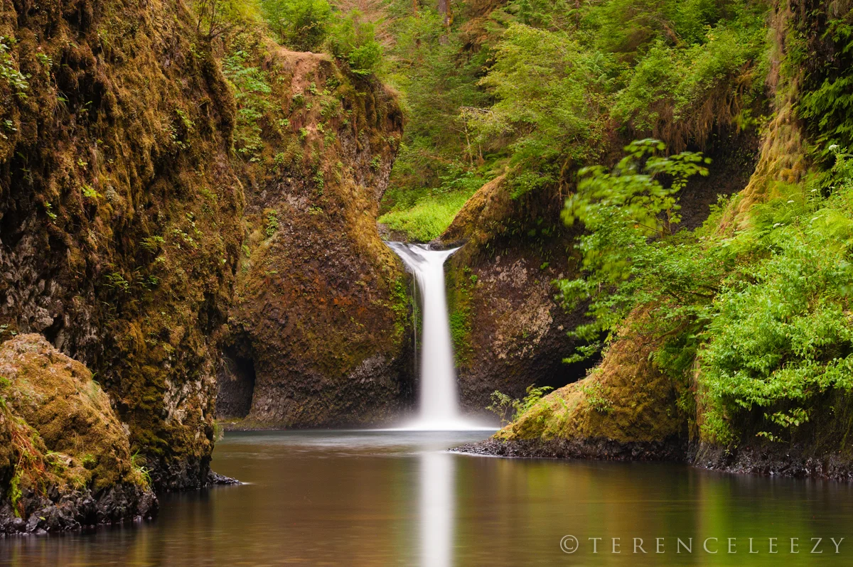 Punchbowl_Falls_TTT0222.jpg