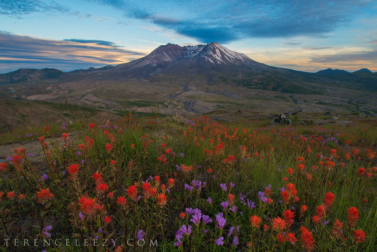 St_Helens_TER1029.jpg