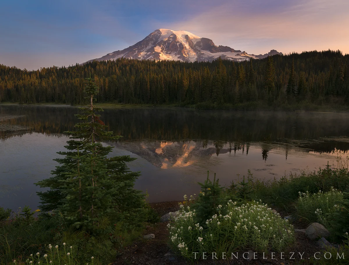 Rainier_TER0200-2.jpg