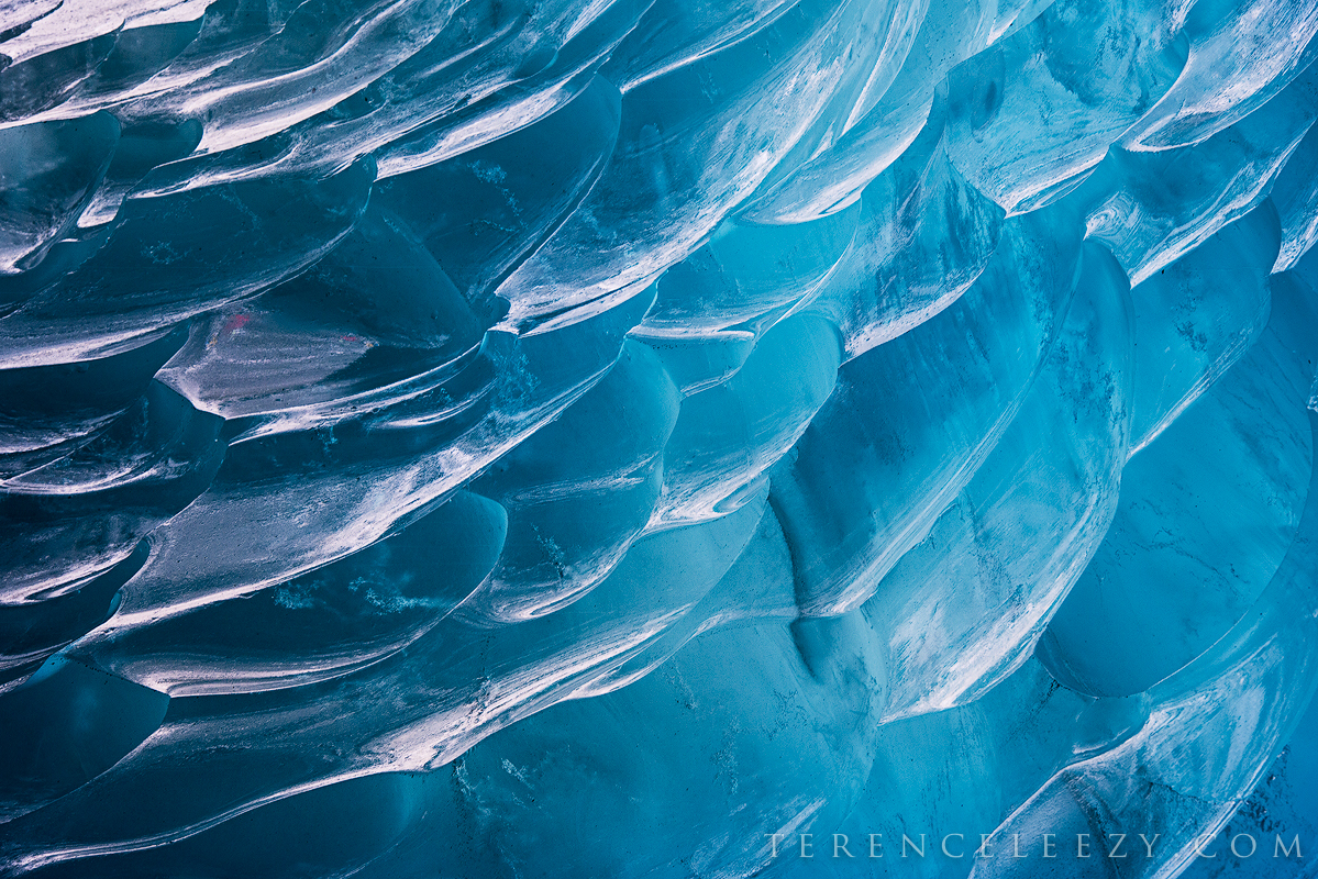 The sculpted ice walls inside an ice cave. Mendenhall Glacier. 