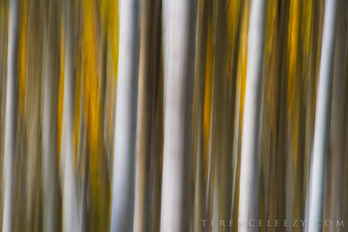 Aspen_Abstract_TER2810 (1).jpg