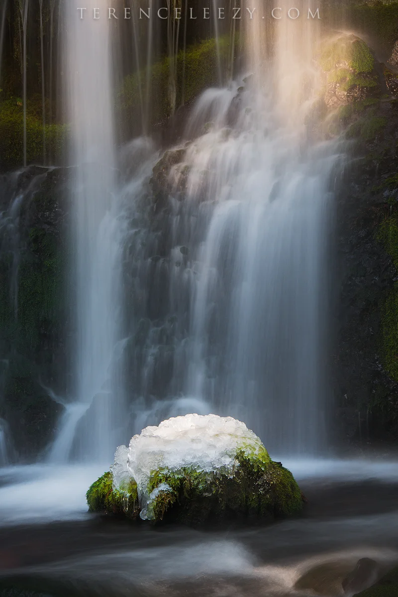 Magic_Rock_TER4513-3.jpg