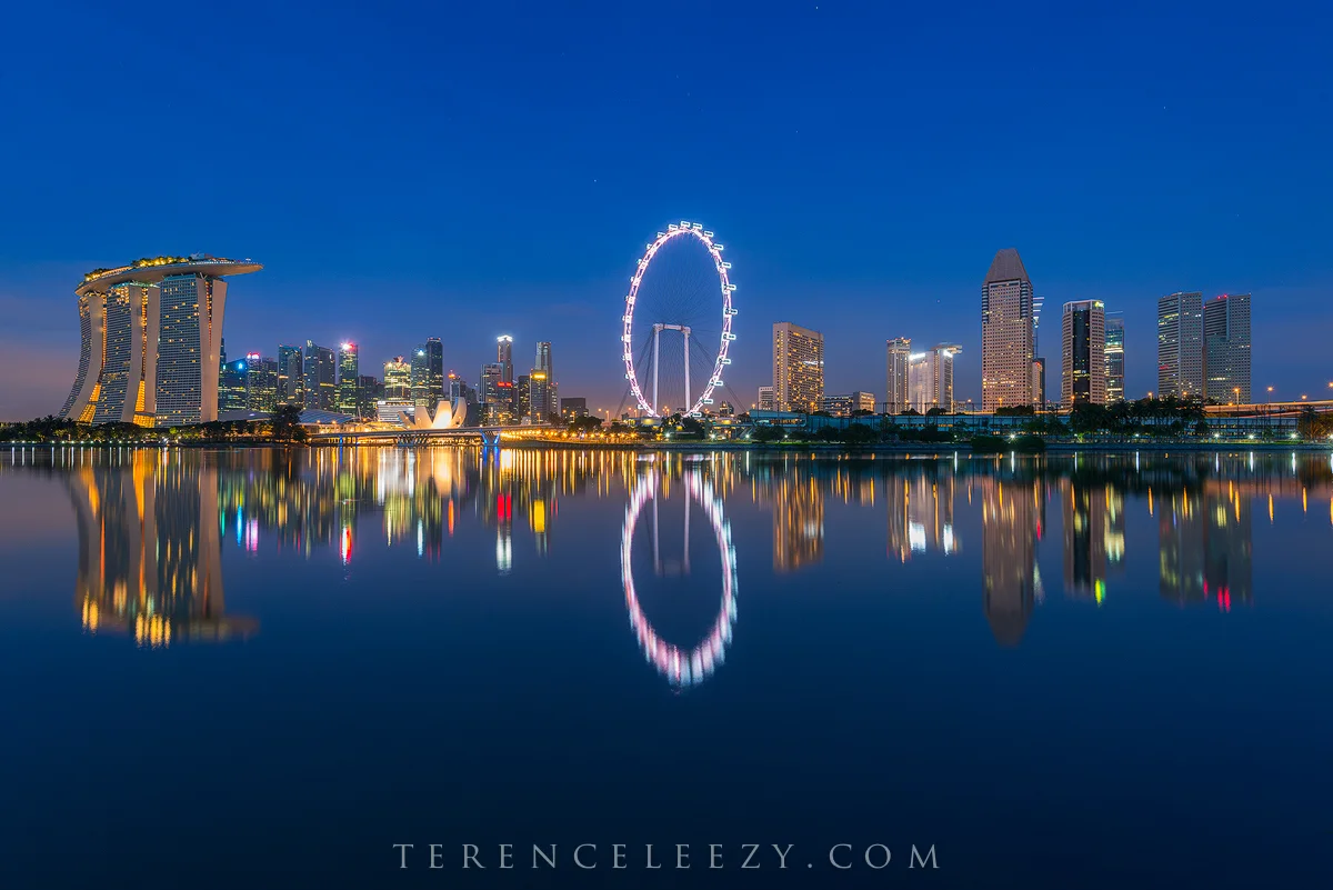 _TER8121x-2.jpg