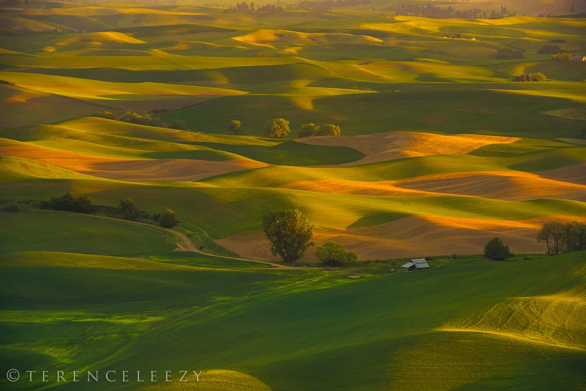 April - Steptoe Butte, Palouse, Washington 