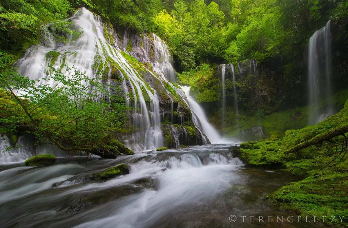 March - Panther Creek Falls, Washington