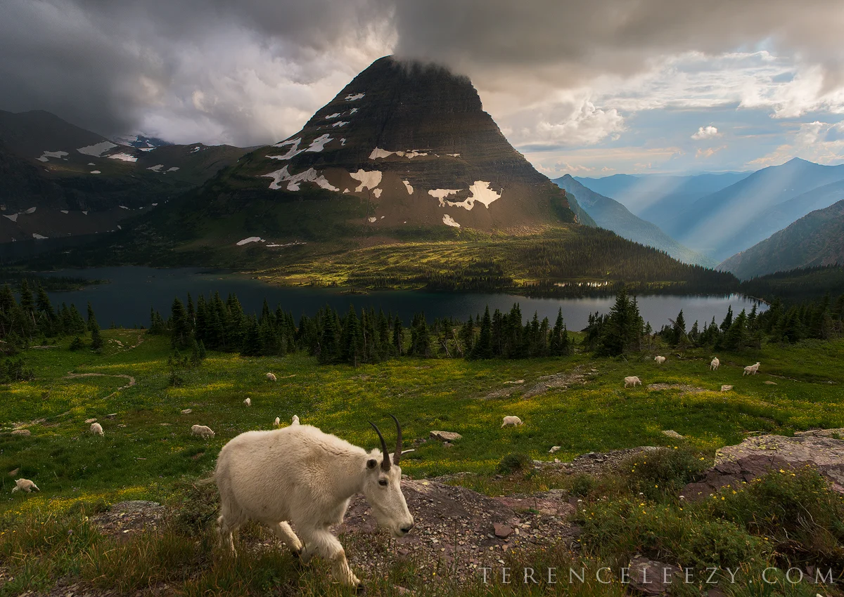 August - Glacier National Park, Montana