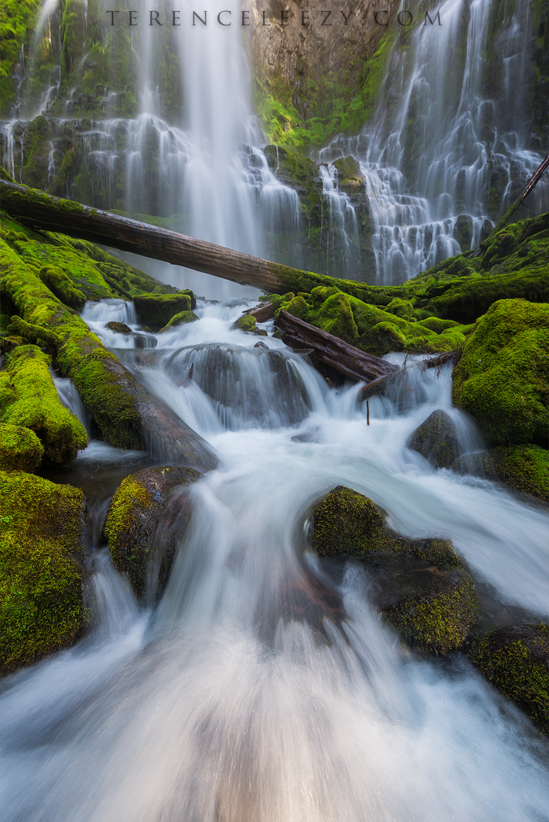 June - Proxy Falls, Oregon