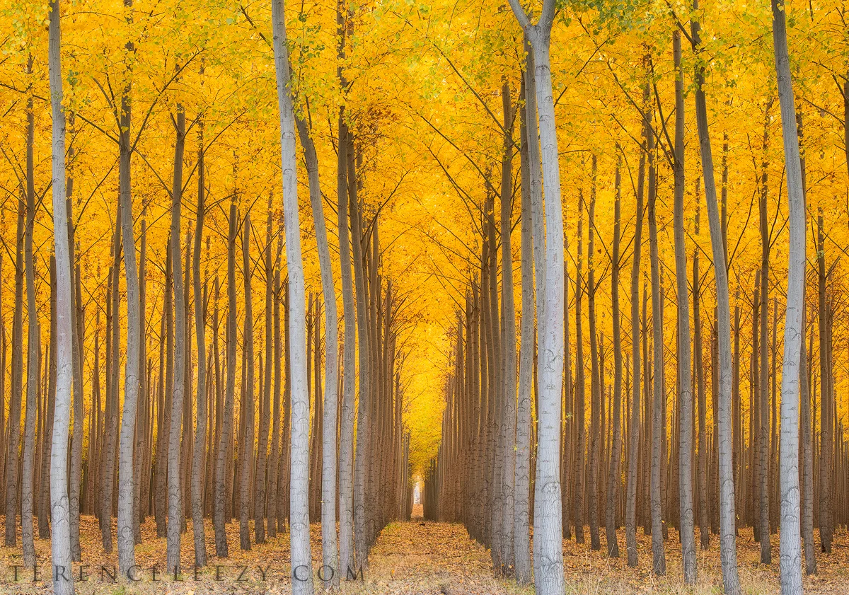 October - Boardman, Oregon